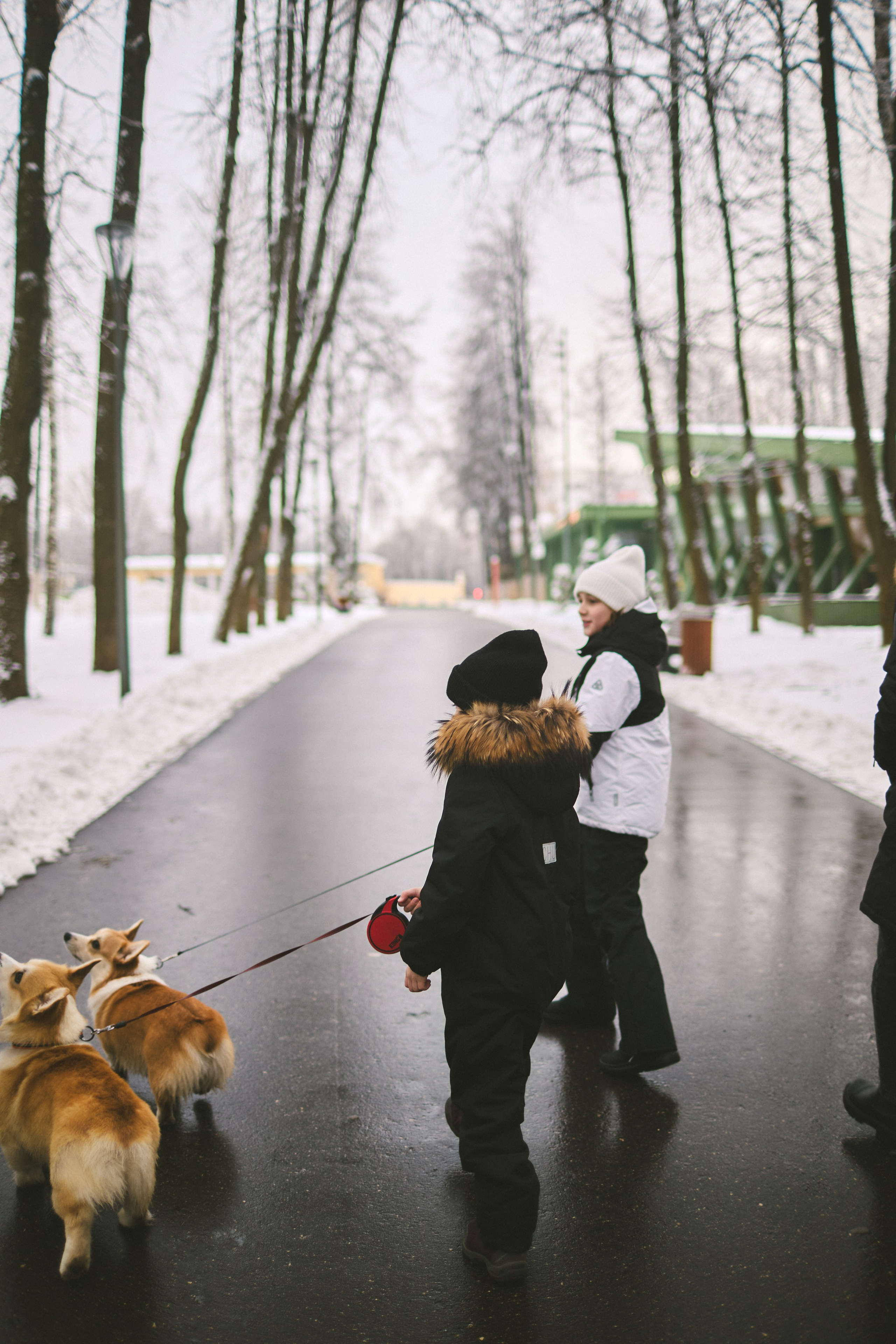 FAMILY 2.0. Фотограф Мария Сивохина
