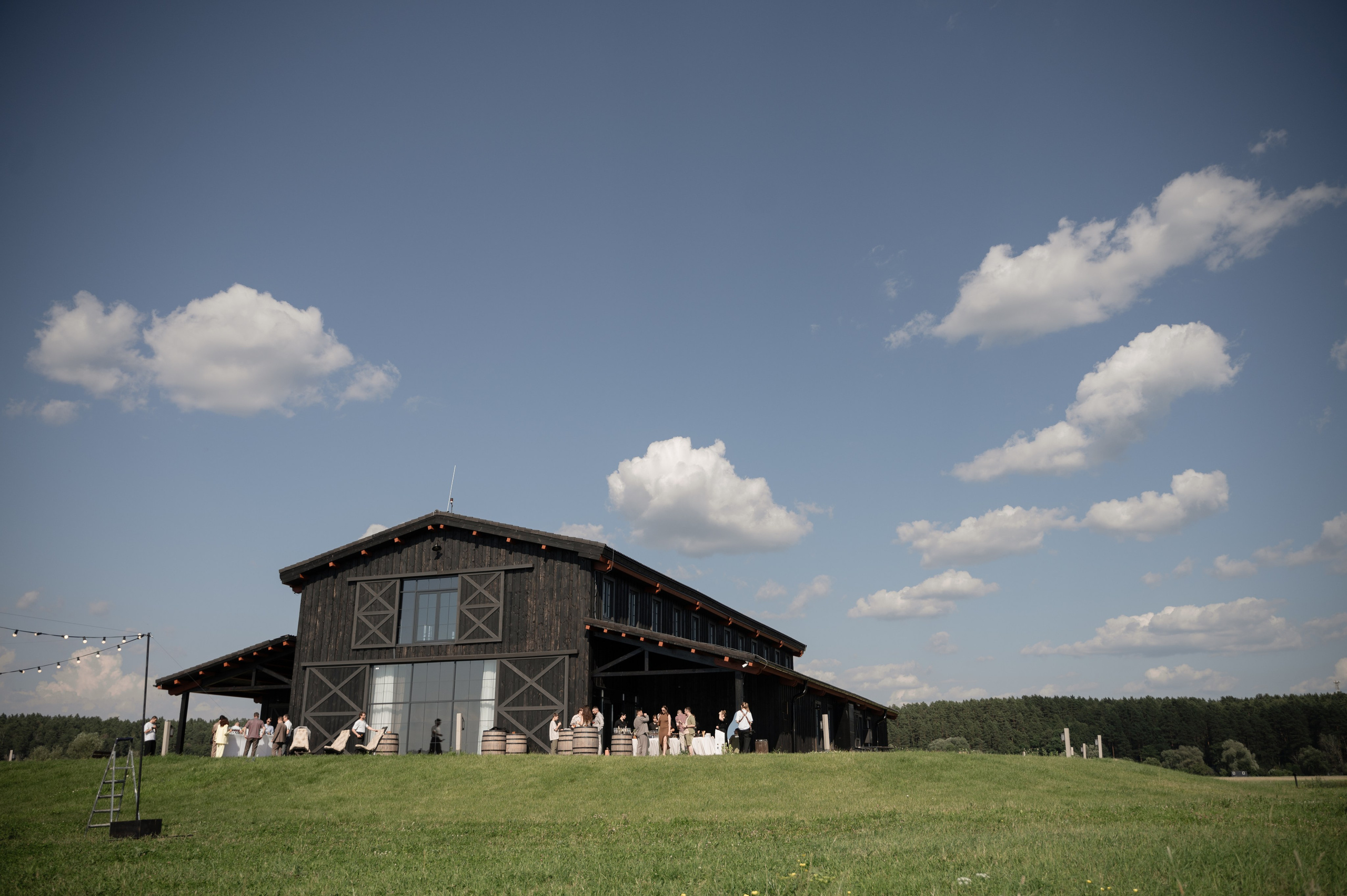 Никита и Оля. Свадебный фотограф Тула