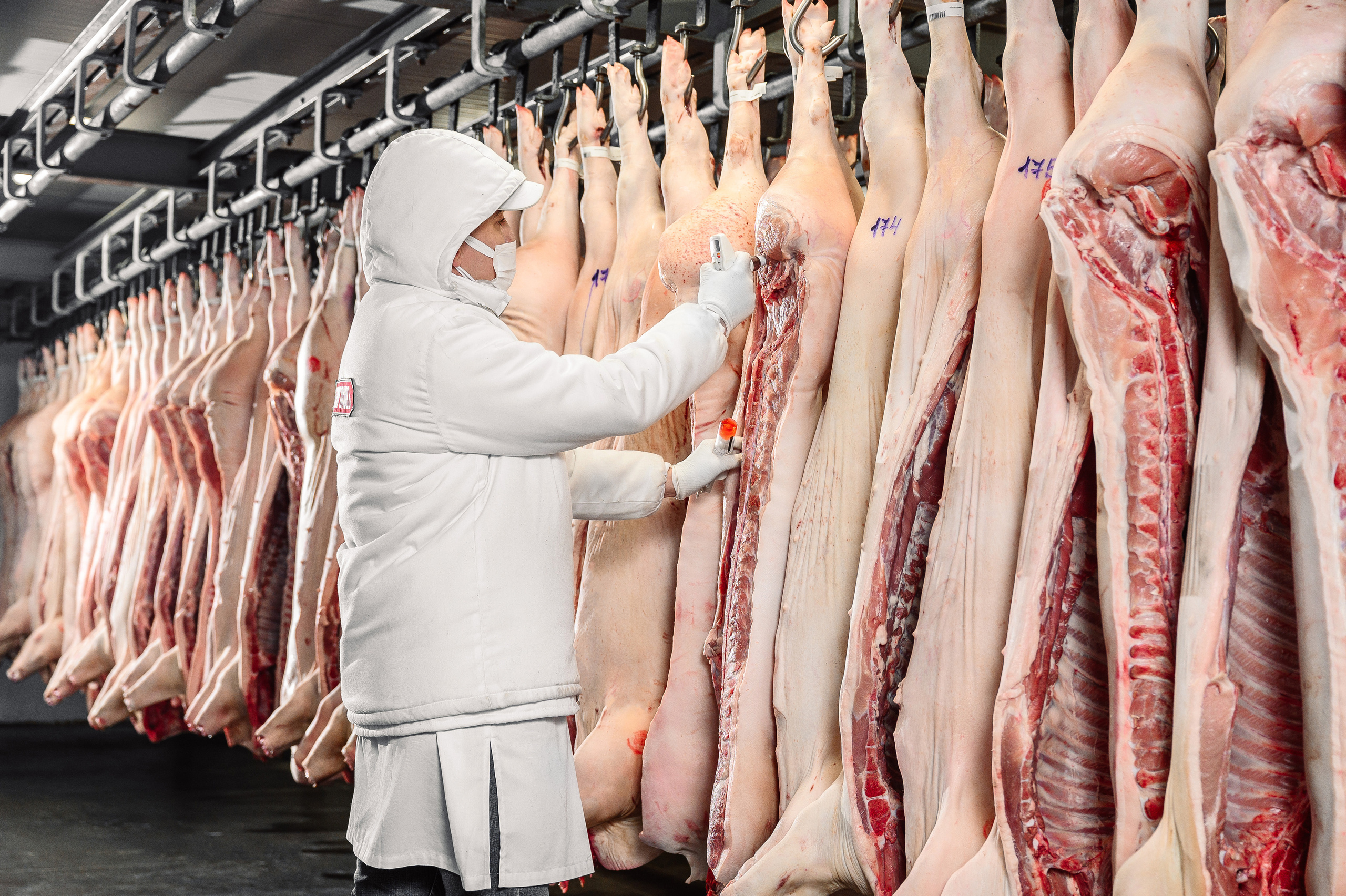 Мясной цех «Строгоновъ»