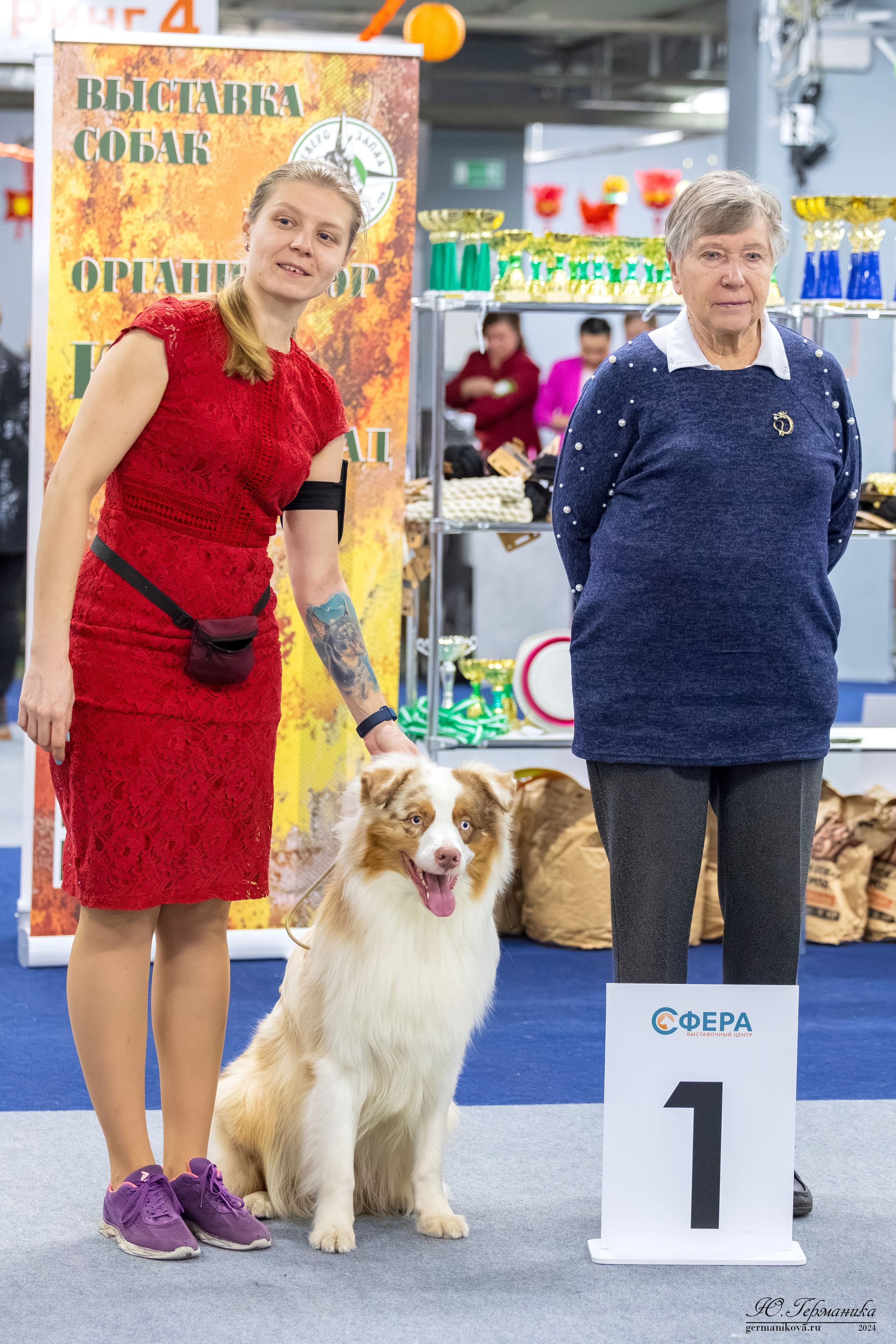 Сфера 08 и 10.03.2024 2хмоно ротвейлеров+2хмоно сао. Фотограф-анималист Юлия Германика