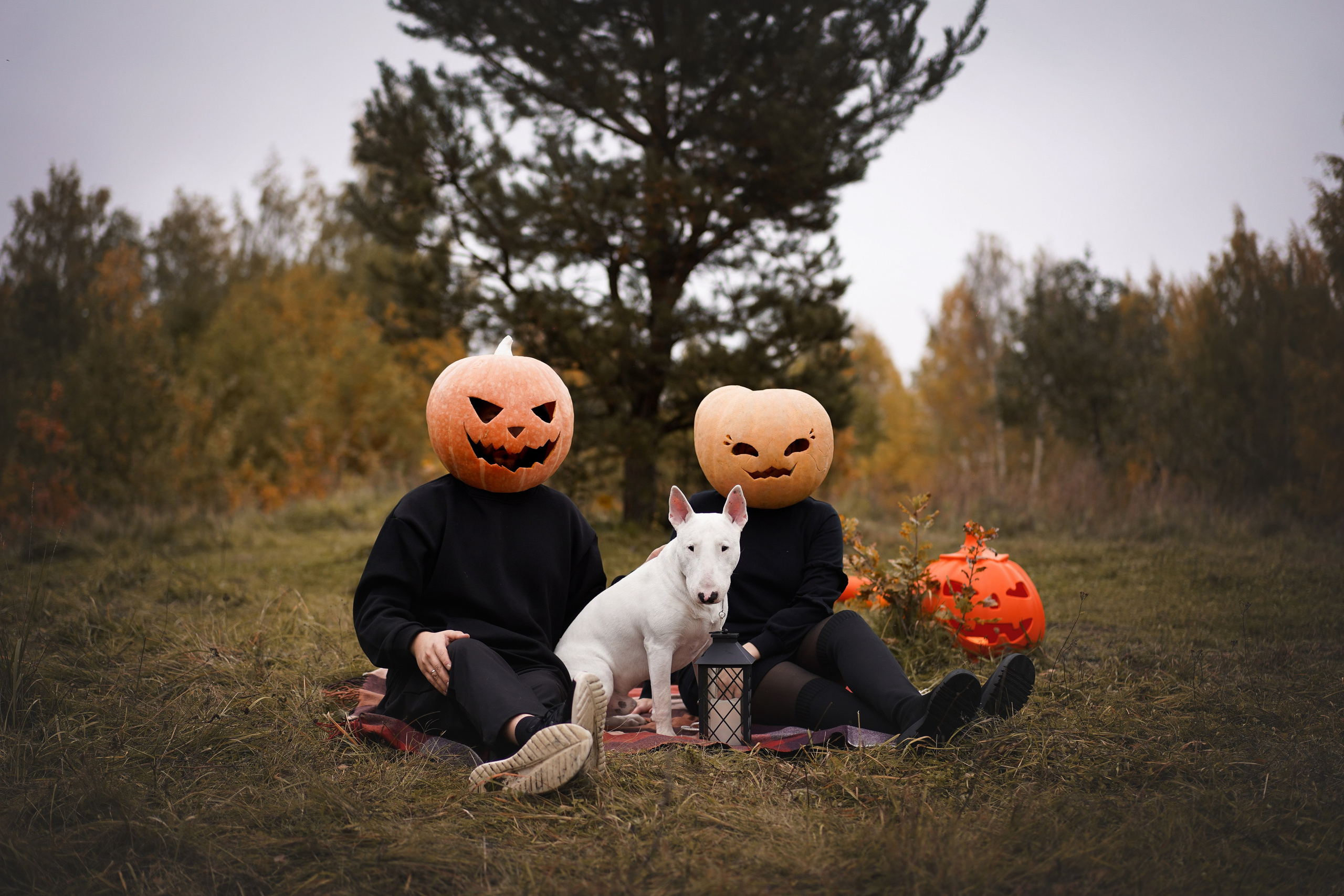 Настя Рома и Сахар Хелоуин. Фотограф-анималист в Санкт-Петербурге Яна Мартынова