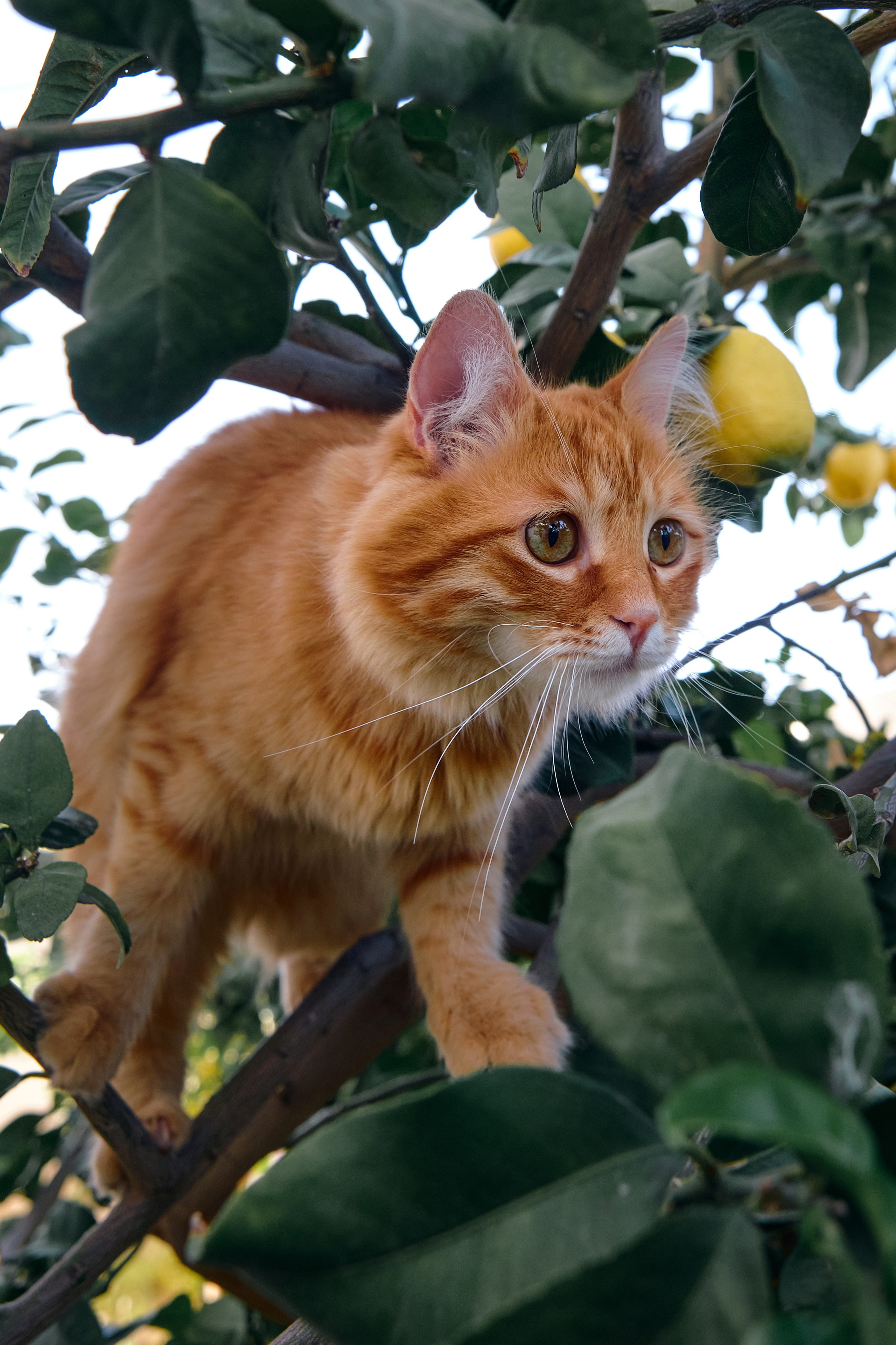 Cyprus 2023 / february. Aleksandr Kobtsev