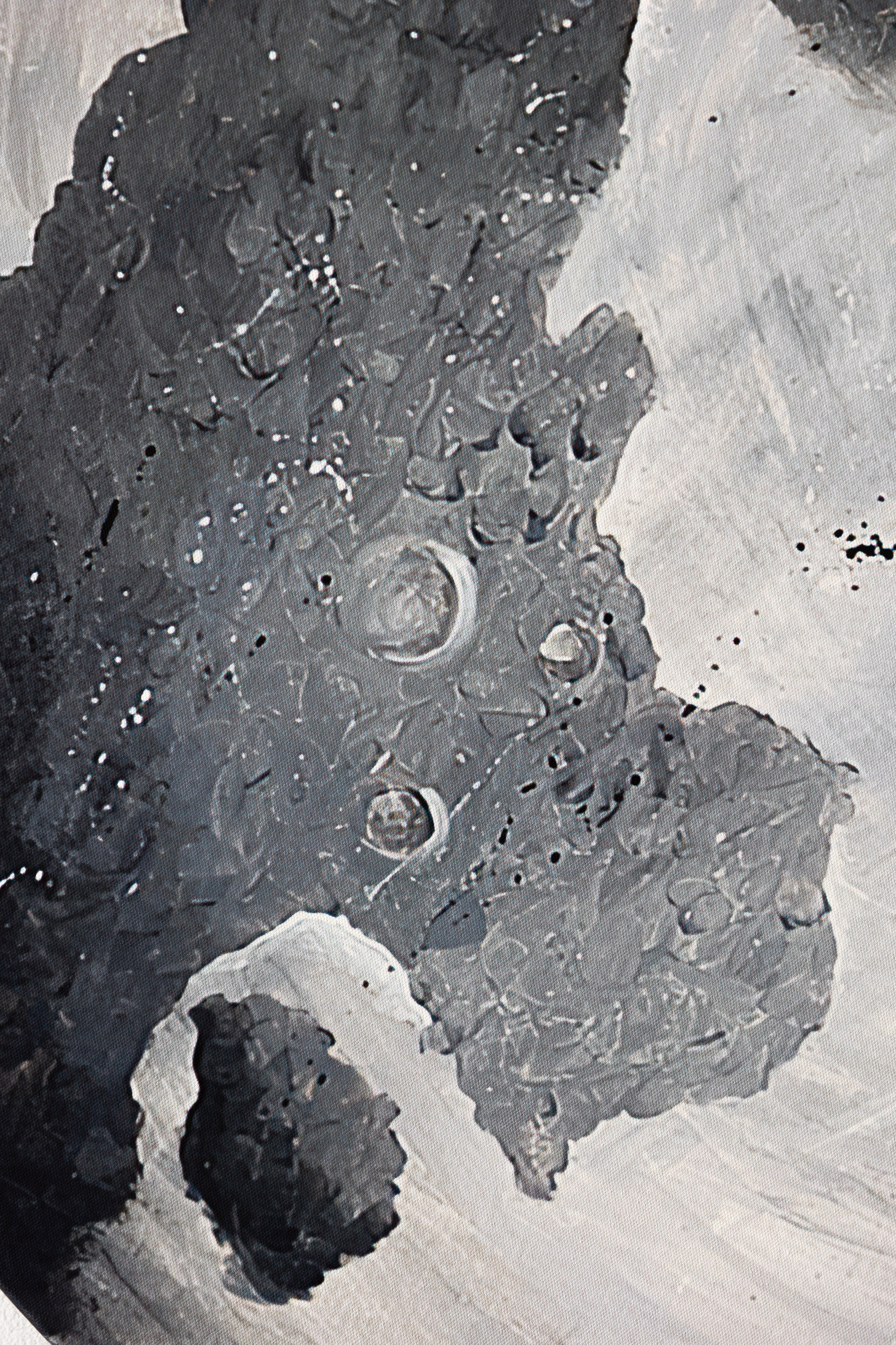 Фотосессия для сайта художницы. Свадебный фотограф в Москве Виктория Арехова