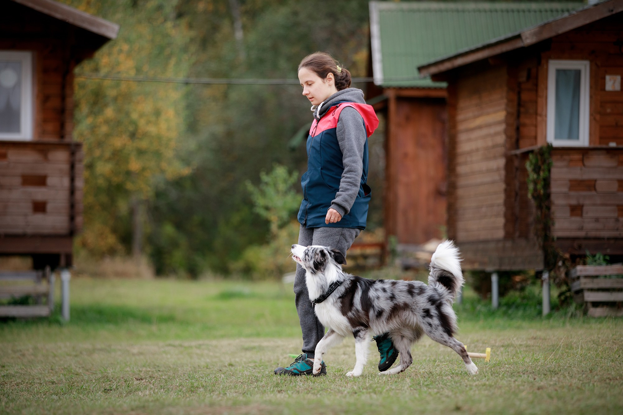 Лагерь по ОБД с Инной Баженовой. Фотограф-анималист Mary Mart — Москва, Питер