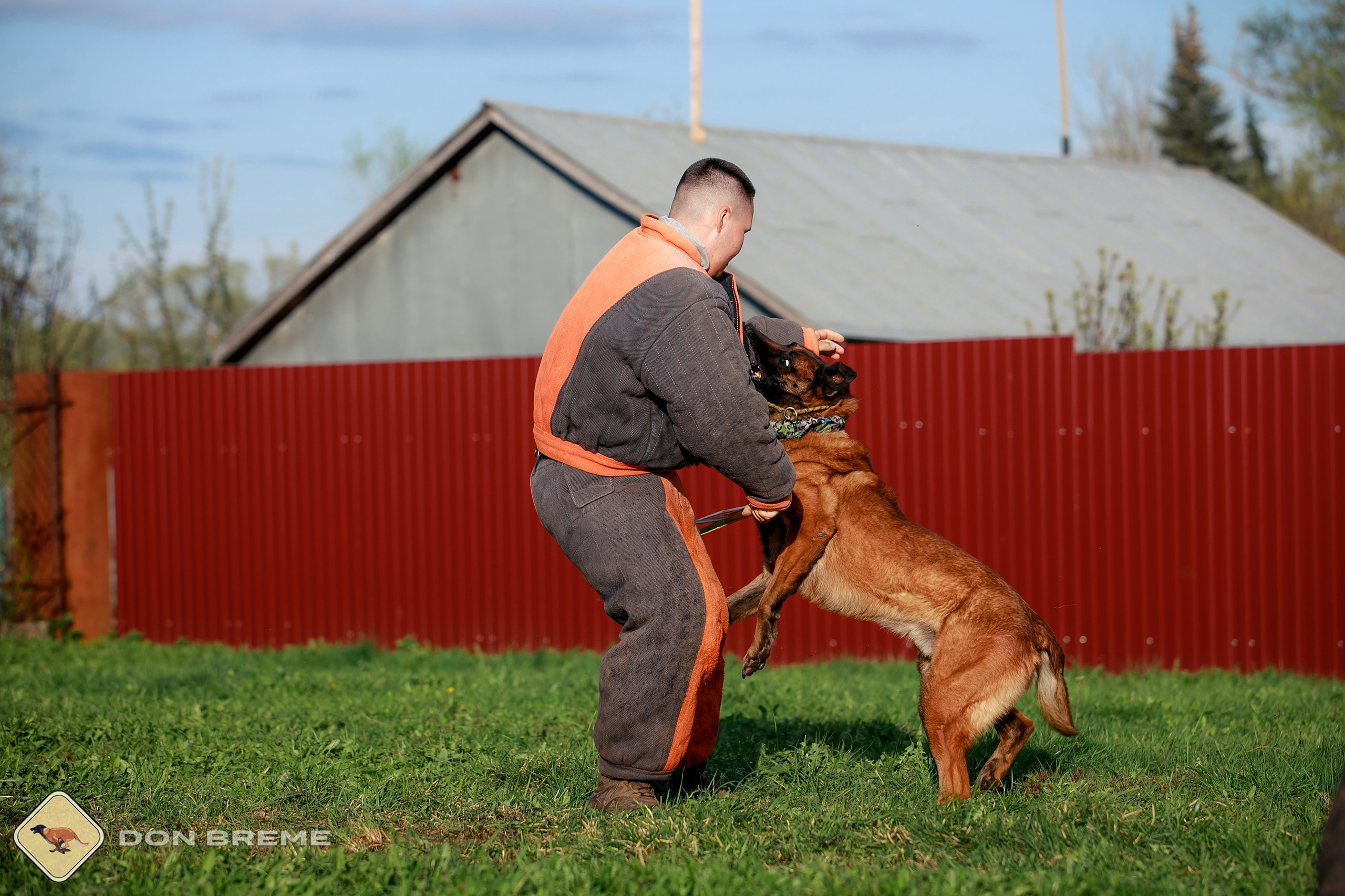 Семинар для фигурантов, день 2. Фотограф-анималист Mary Mart — Москва, Питер