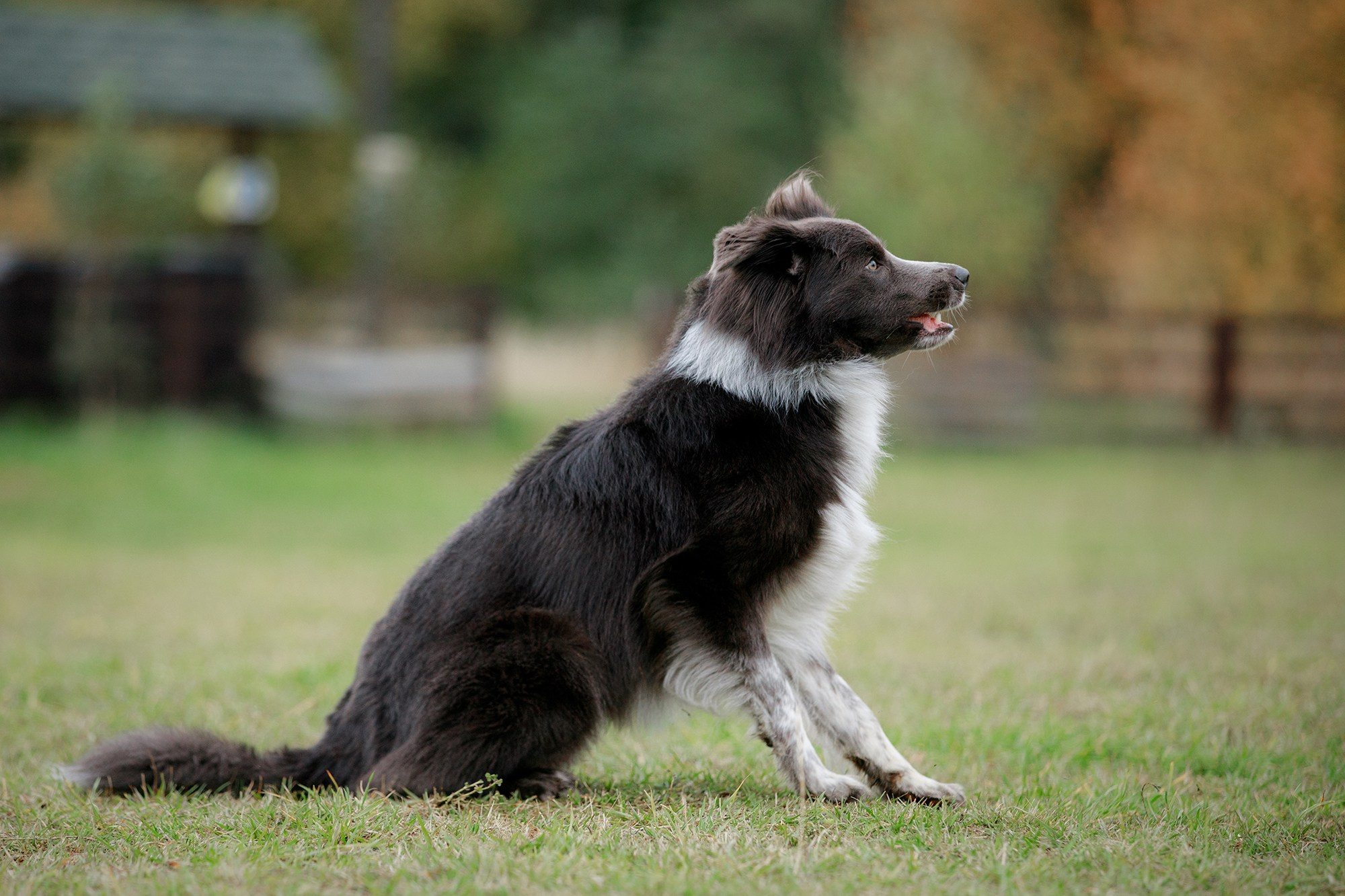 Лагерь по ОБД с Инной Баженовой. Фотограф-анималист Mary Mart — Москва, Питер