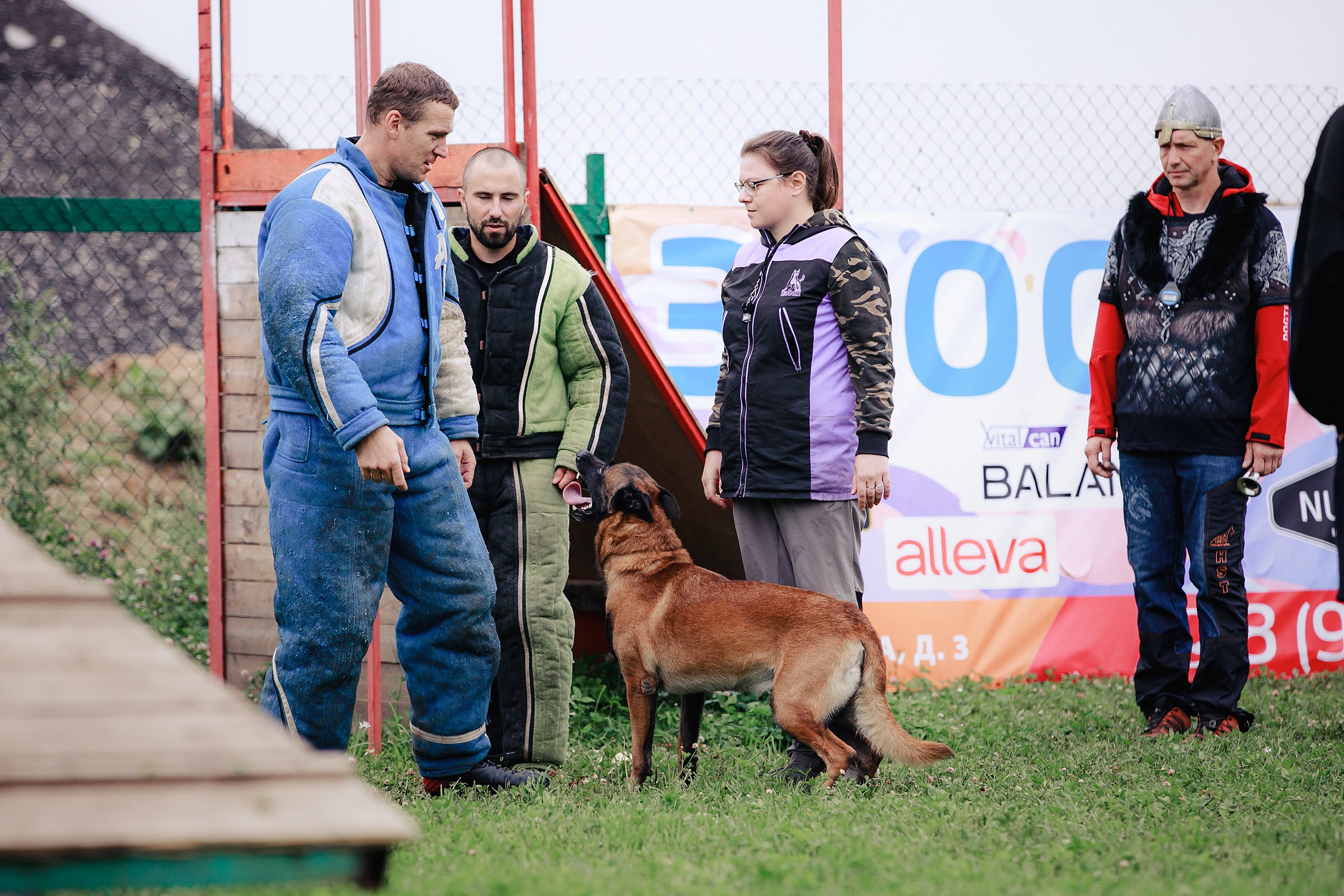 Мондьоринг М1, М2, М3, Вологда. Фотограф-анималист Mary Mart — Москва, Питер