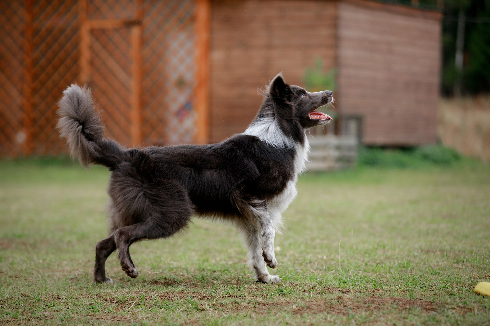 Лагерь по ОБД с Инной Баженовой. Фотограф-анималист Mary Mart — Москва, Питер
