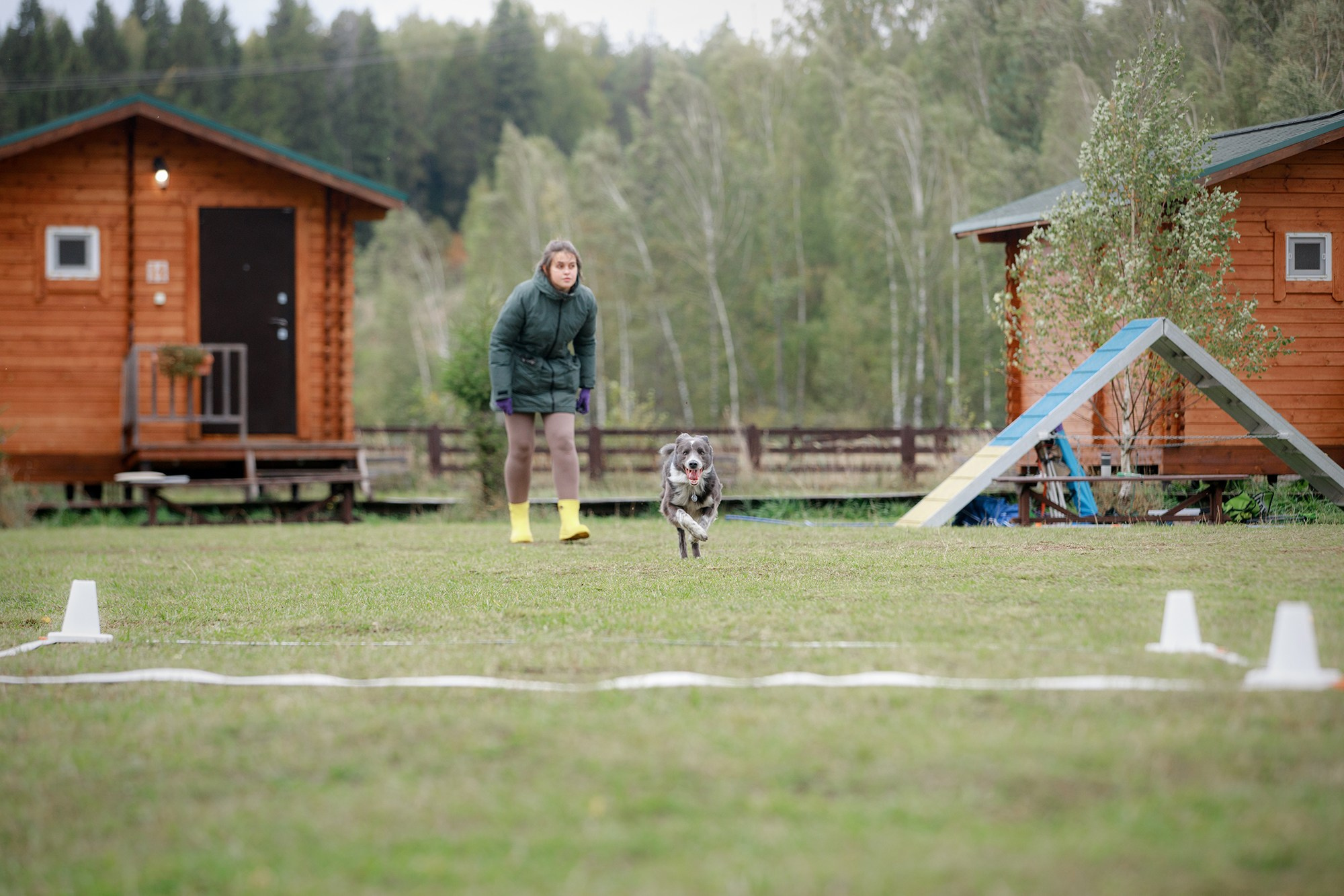 Лагерь по ОБД с Инной Баженовой. Фотограф-анималист Mary Mart — Москва, Питер