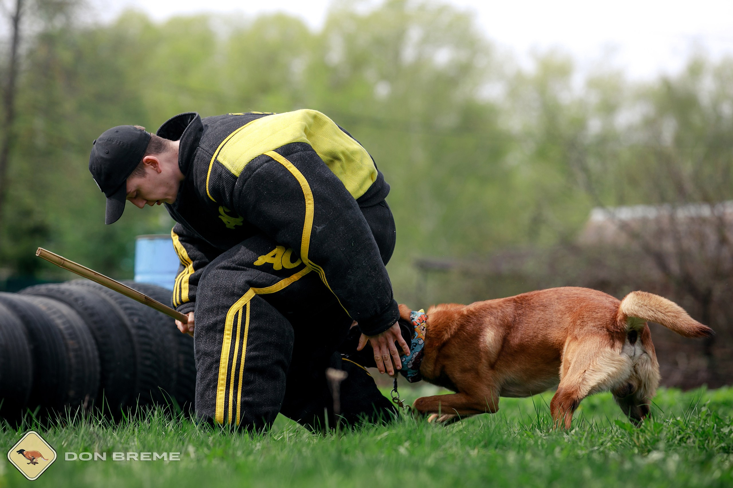 Семинар для фигурантов, день 2. Фотограф-анималист Mary Mart — Москва, Питер