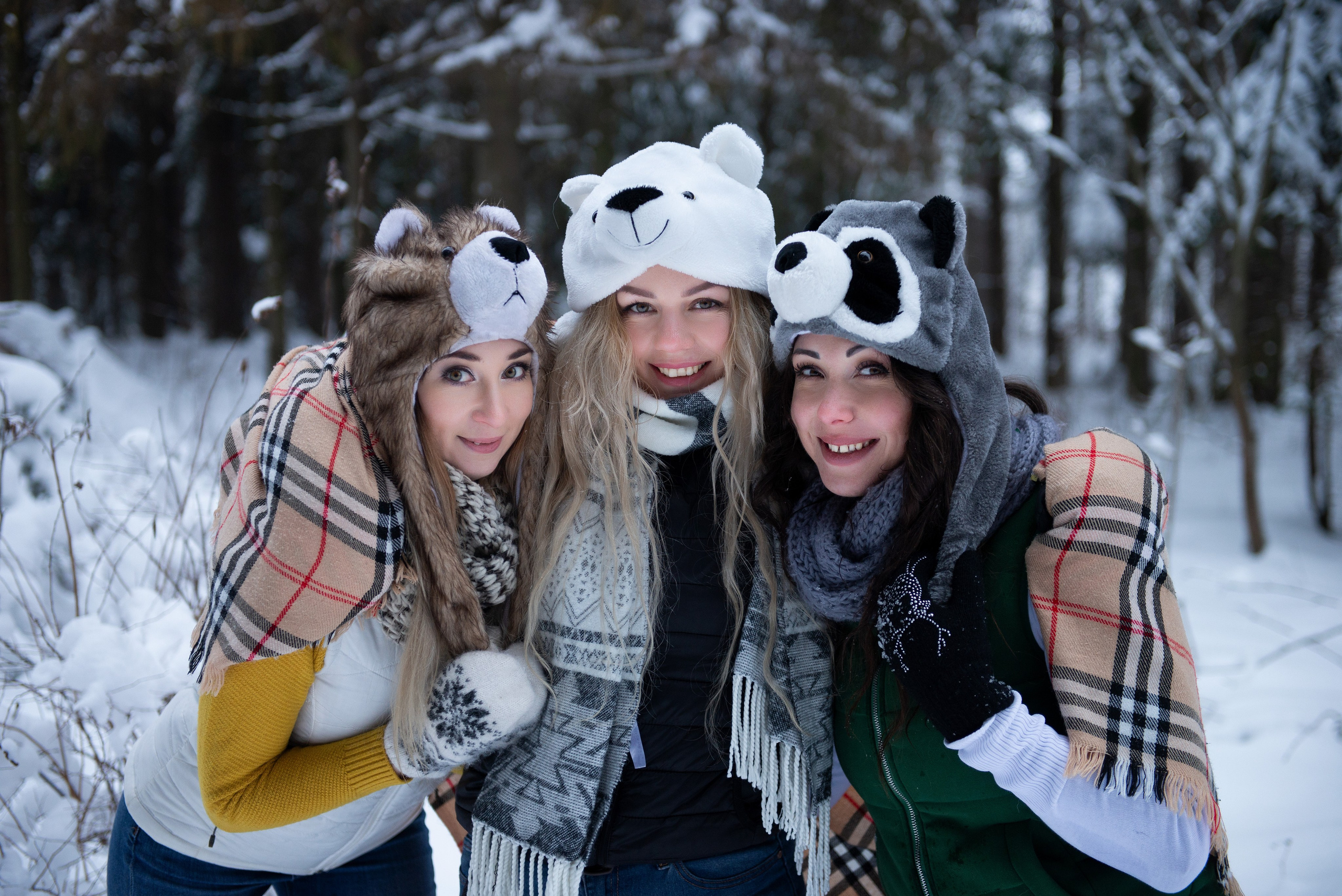 Зимний лес прекрасен. Творческий фотограф Вологда