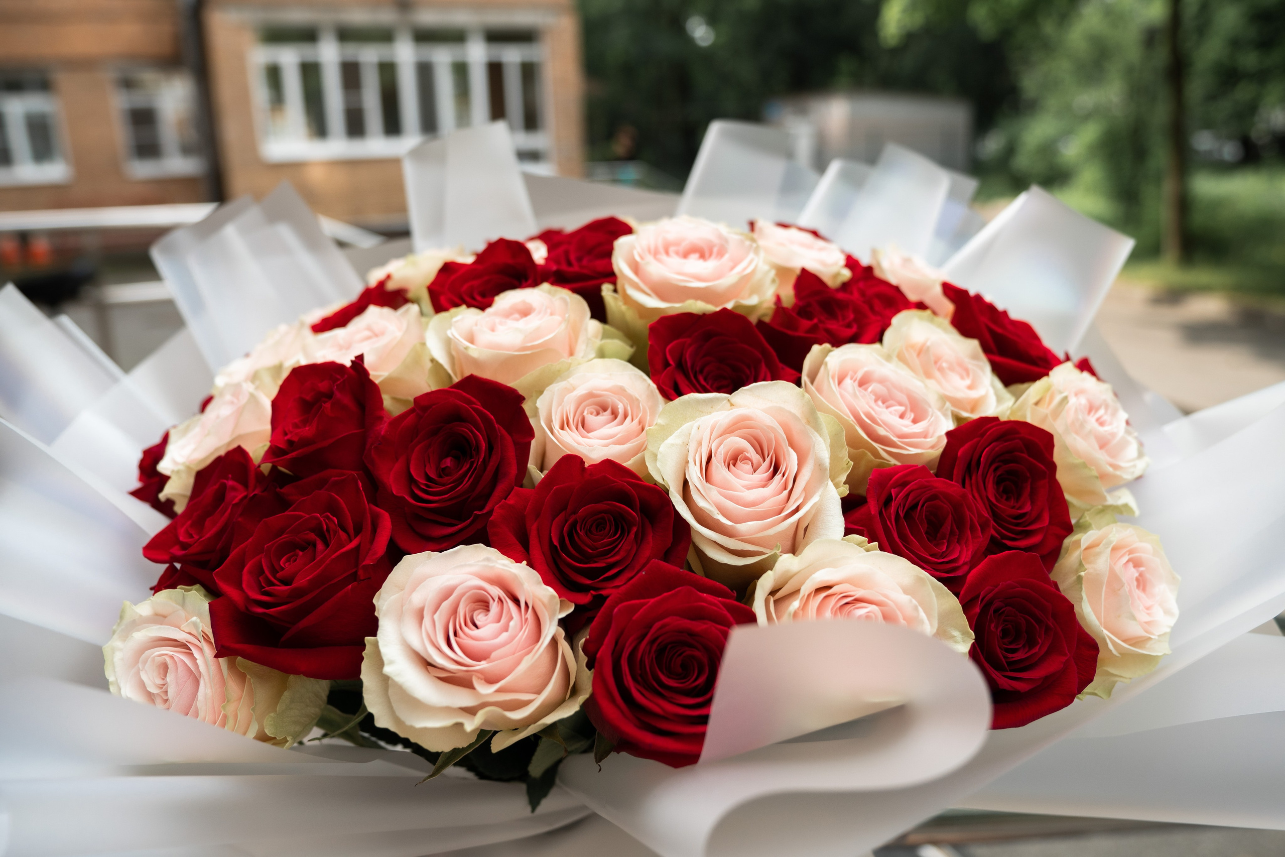 Выписка из роддома. Семейный фотограф и видеограф Алёна Ким