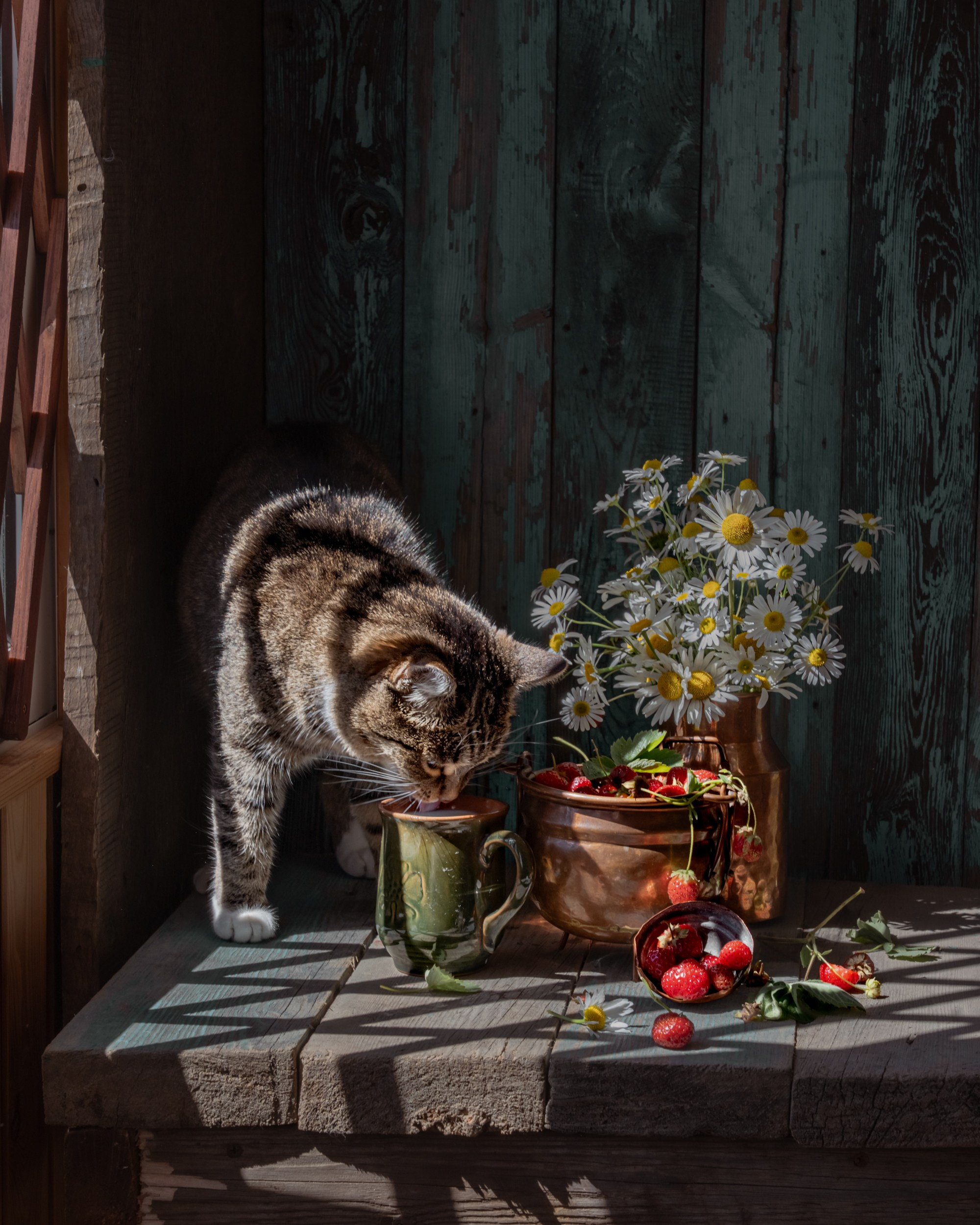 Кошка Маруся среди дачных цветов и ягод, демонстрирующая гармонию между домашним питомцем и природой