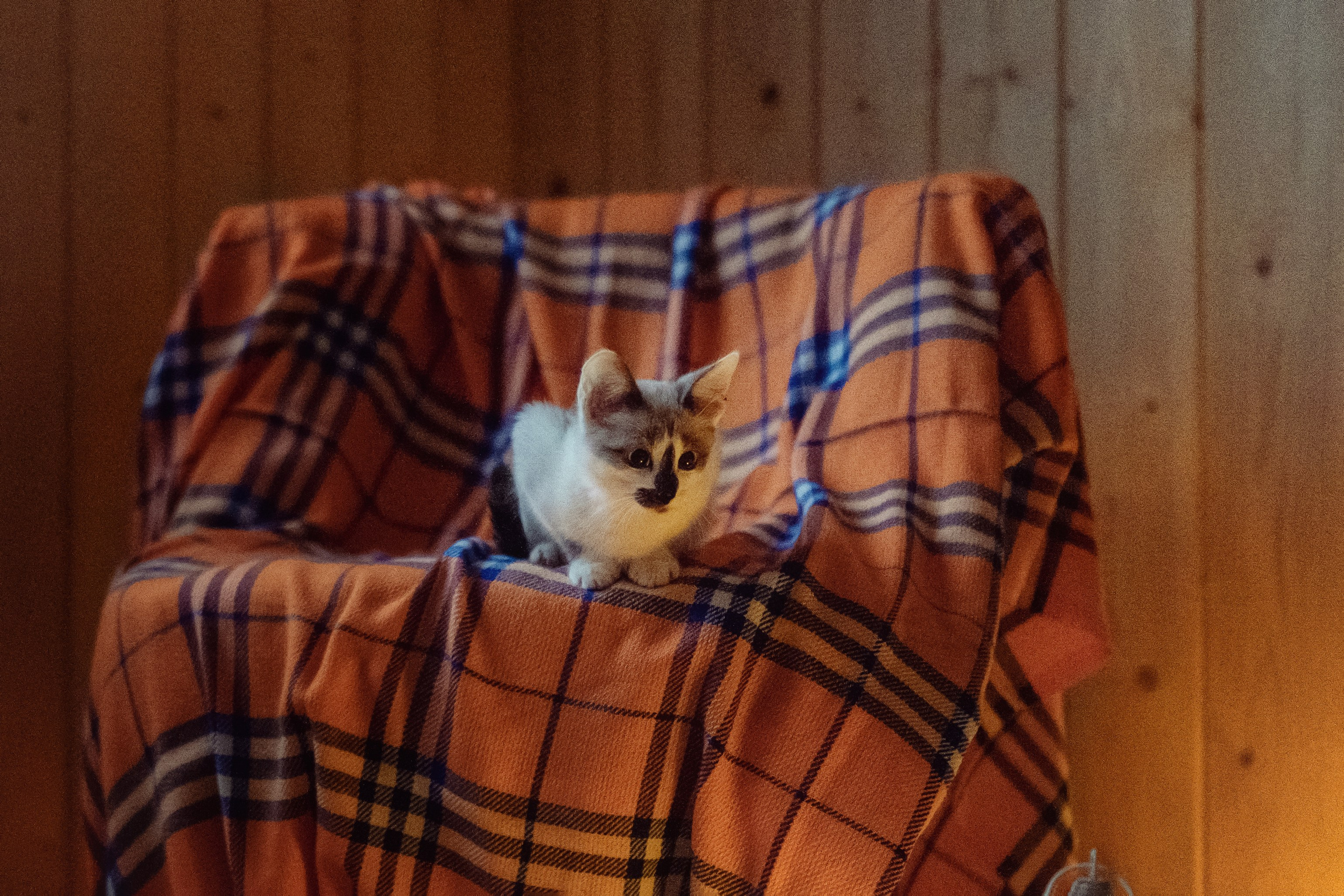 Осень на чердаке. Семейный фотограф Новая Рига (Звенигород, Истра) Евгения Литовченко