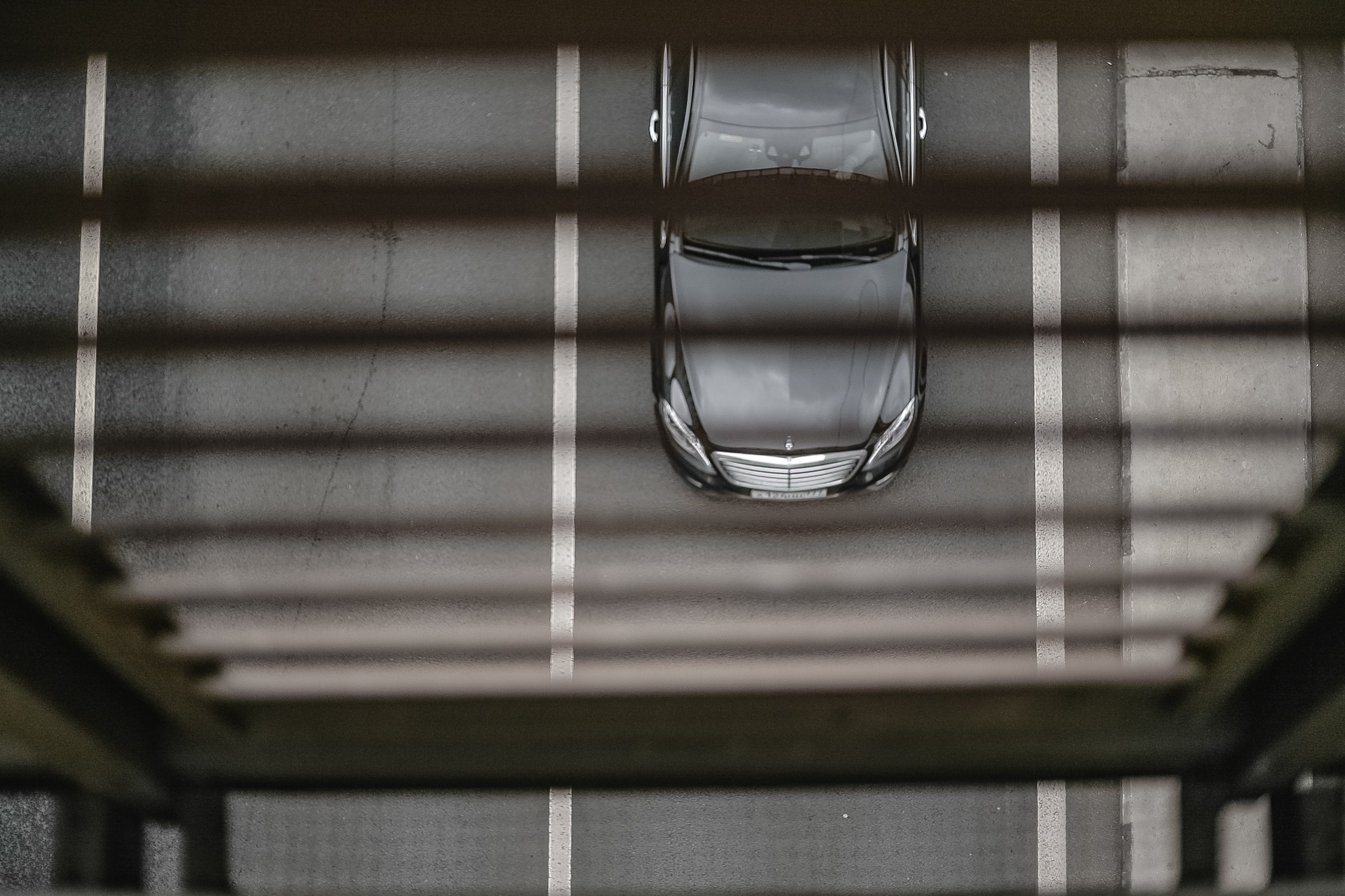 III. Стас Привалов