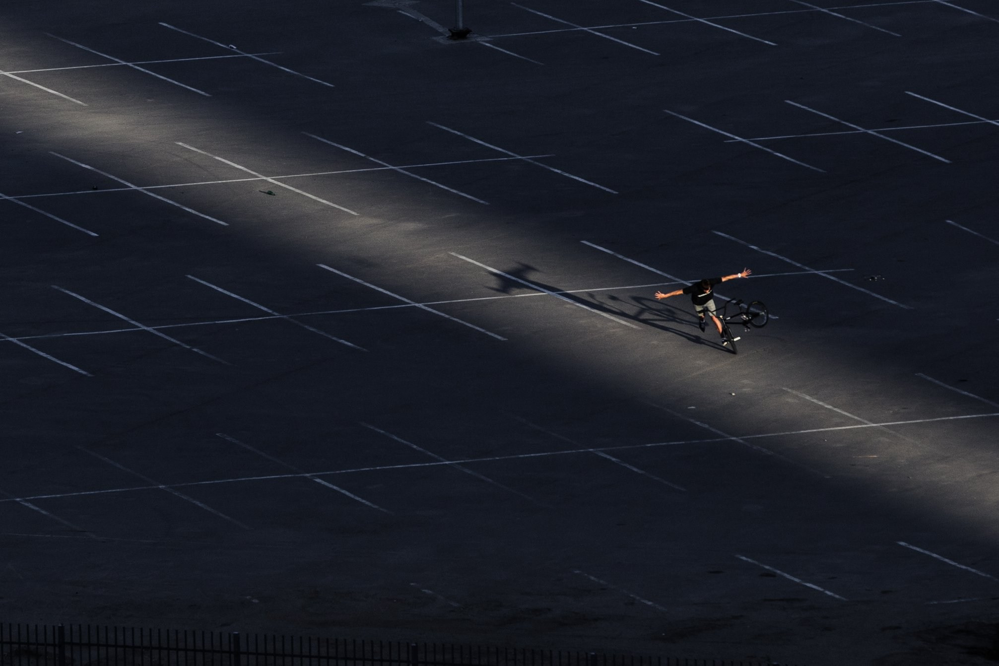 Random photo roulette. Bivol images