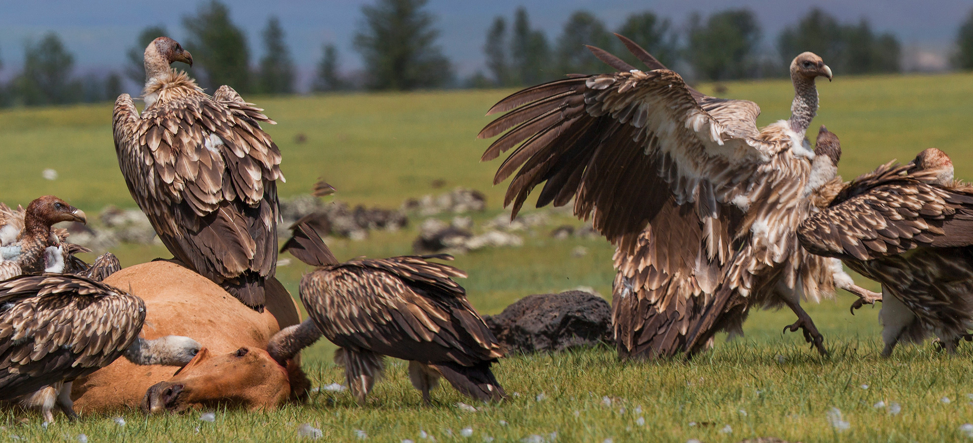 Монголия. Yuri Ovchinnikov Photography, St. Petersburg, landscape photography
