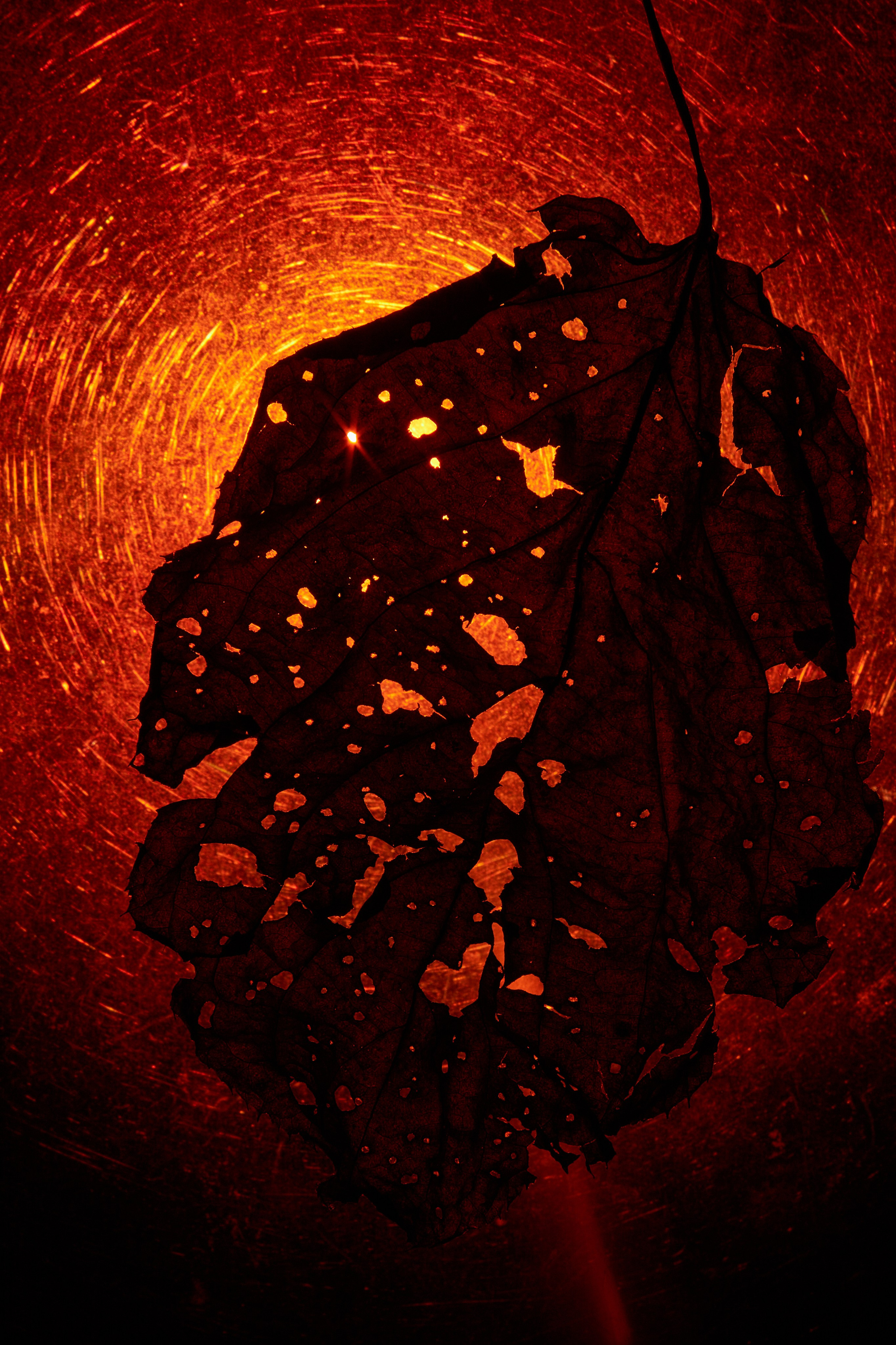 «Красок Тьма Полна». Арт-фотограф во Владивостоке Дмитрий Осипчук