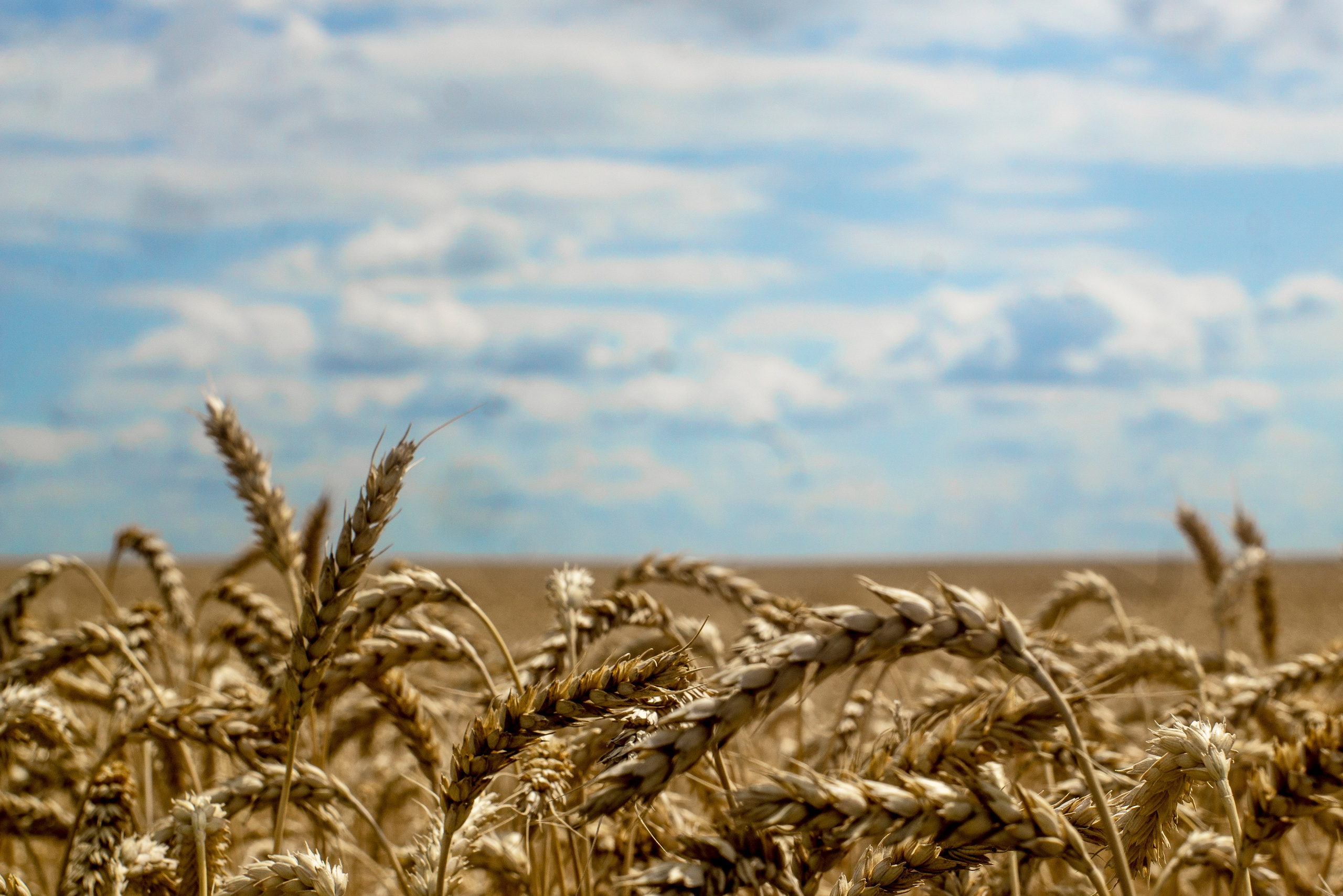 Георгий Тришаков