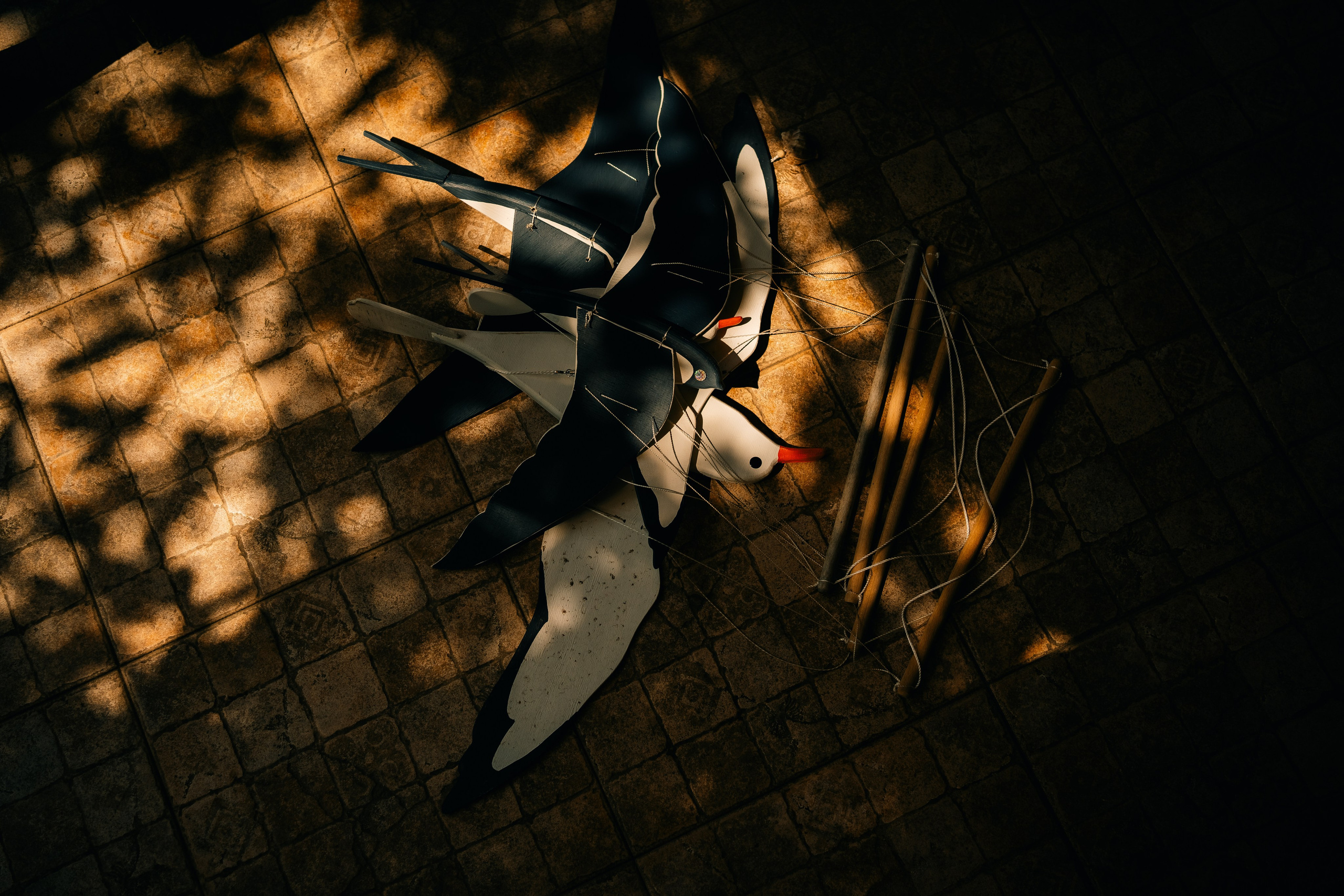 Саида. Фотограф в Москве и МО Влада Обласова