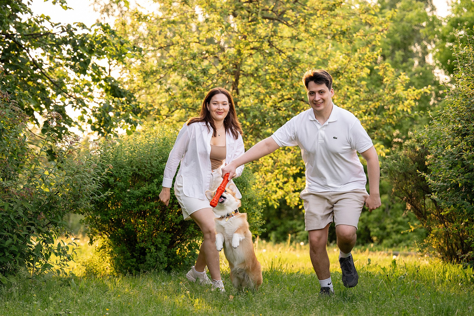 Фотосессия с собакой. Фотограф собак в Москве и Московской области Иванушкина Мария