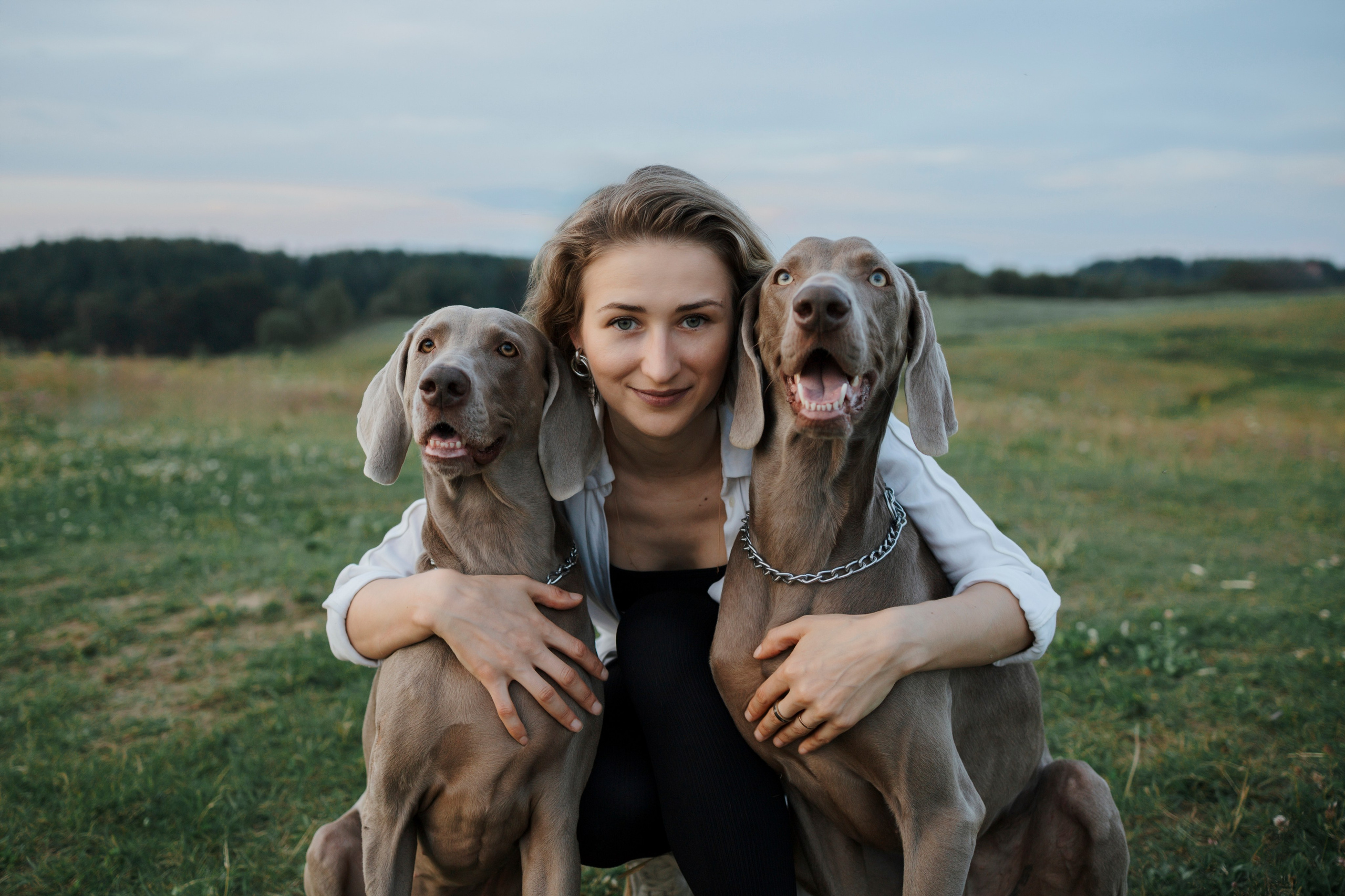 Маргарита и веймаранеры. Фотограф-анималист в Санкт-Петеребурге Титова Алиса