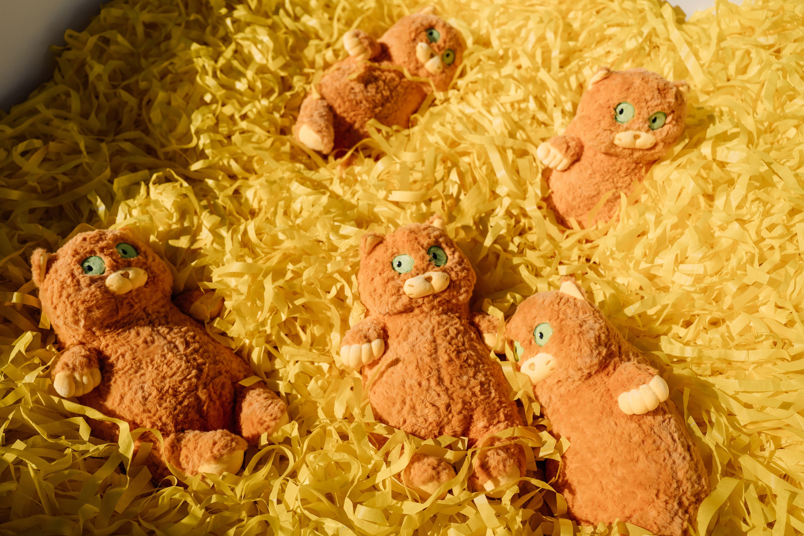 Одним сентябрьским днем 🍂. Свадебный фотограф и видеограф в Тольятти, Самаре и Москве — Арзу Магеррамов