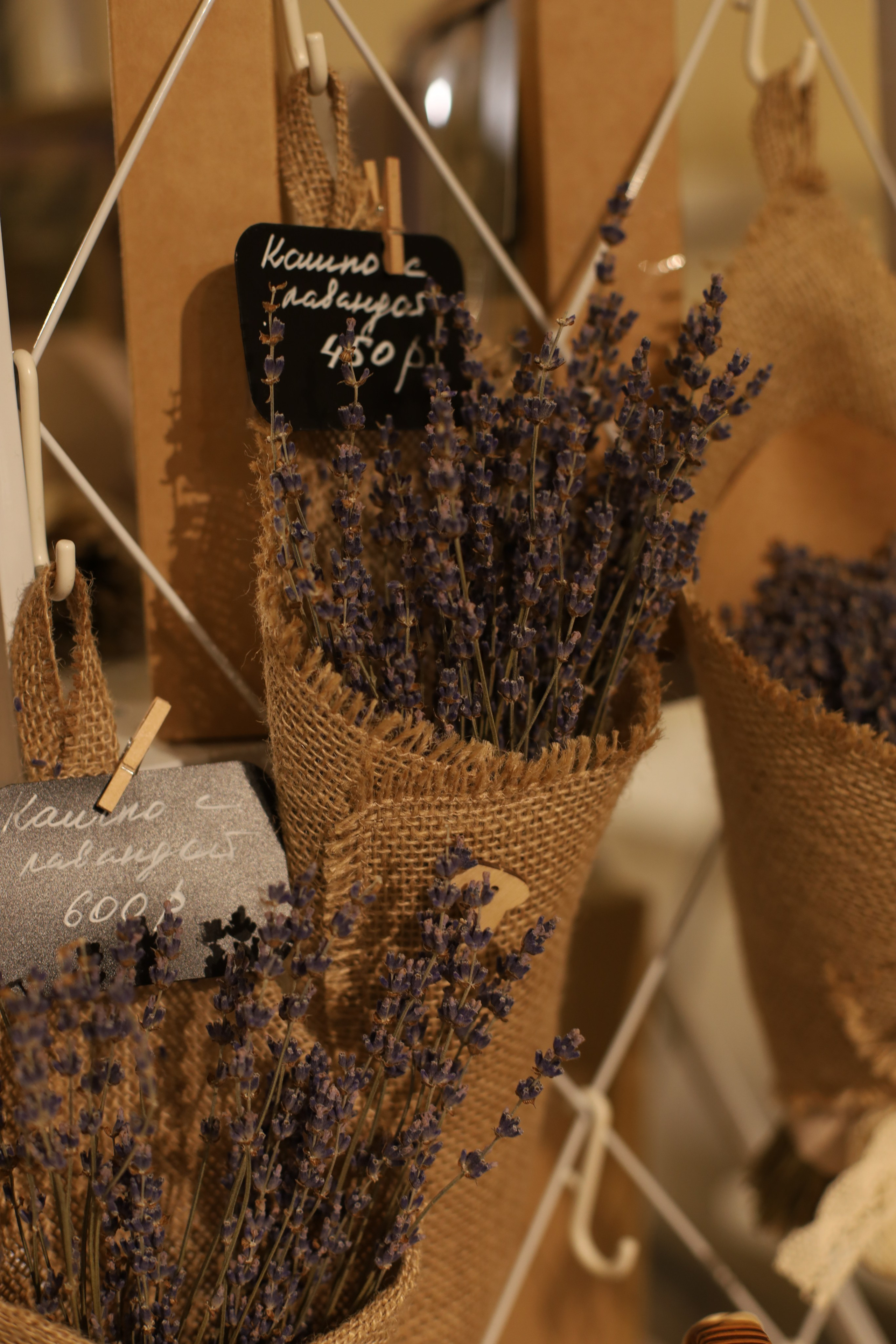 Открытие ФудКорт ЦЕНТРАЛЬНЫЙ. Фотограф Светлана Бурова