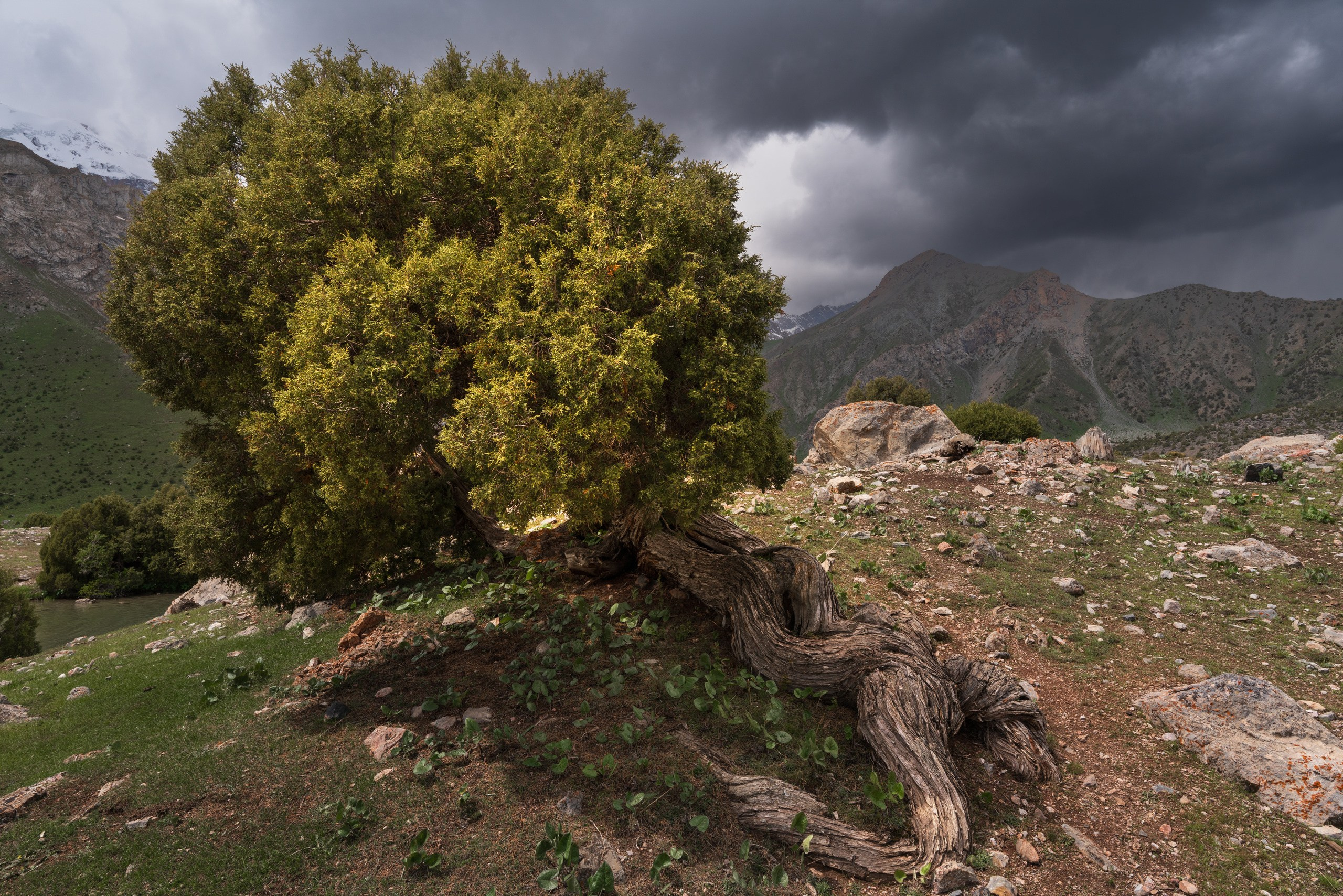 Фанские горы. Фотограф в Красноярске Нерозя Александр. Пейзаж, природа, портрет
