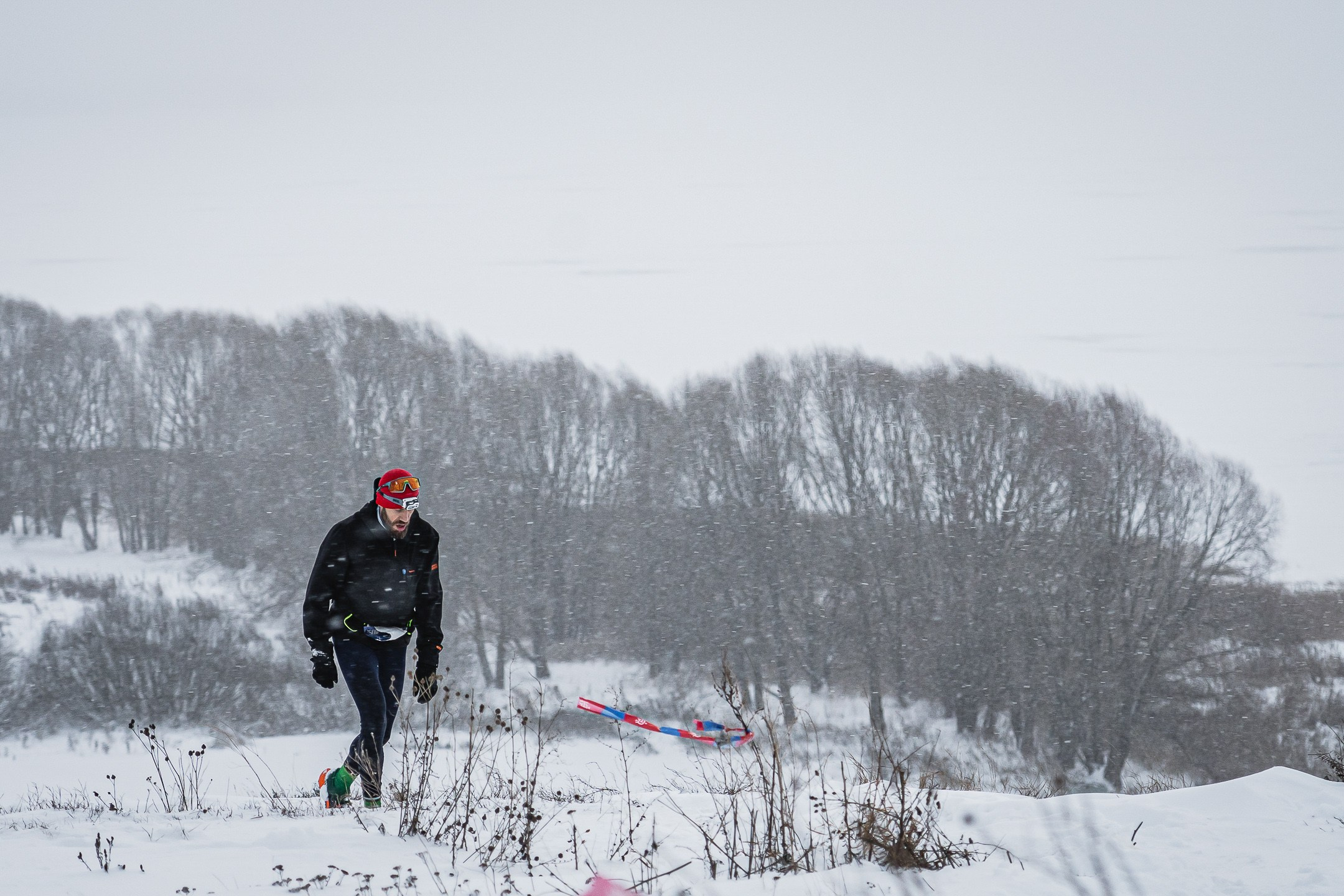 Mad Fox Ultra | 2023.12.17. Sergey Sutkovoy — Designer, photographer, traveler, woodworker