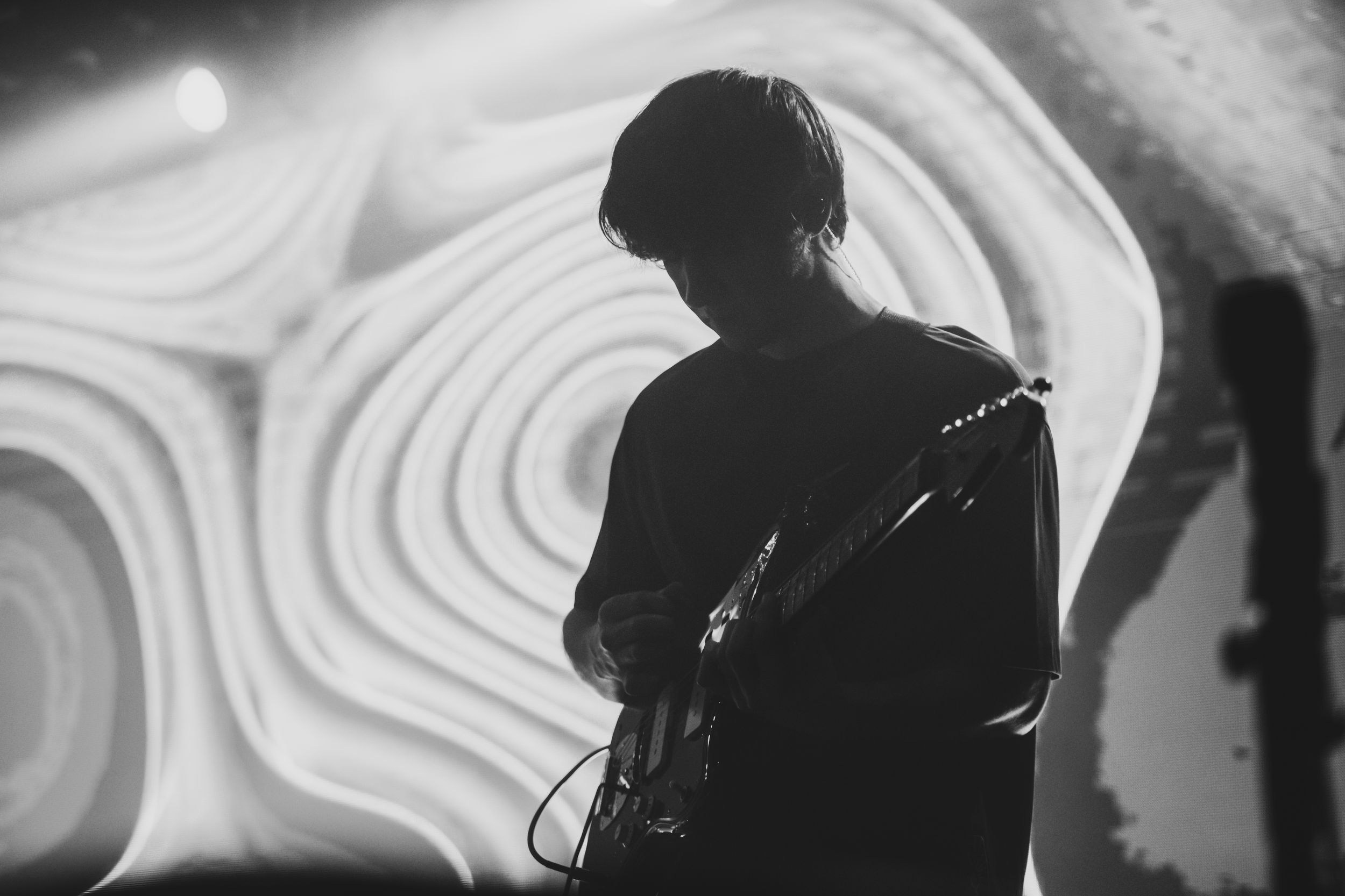 Дельфин. Репортажный фотограф Алексей Пирязев