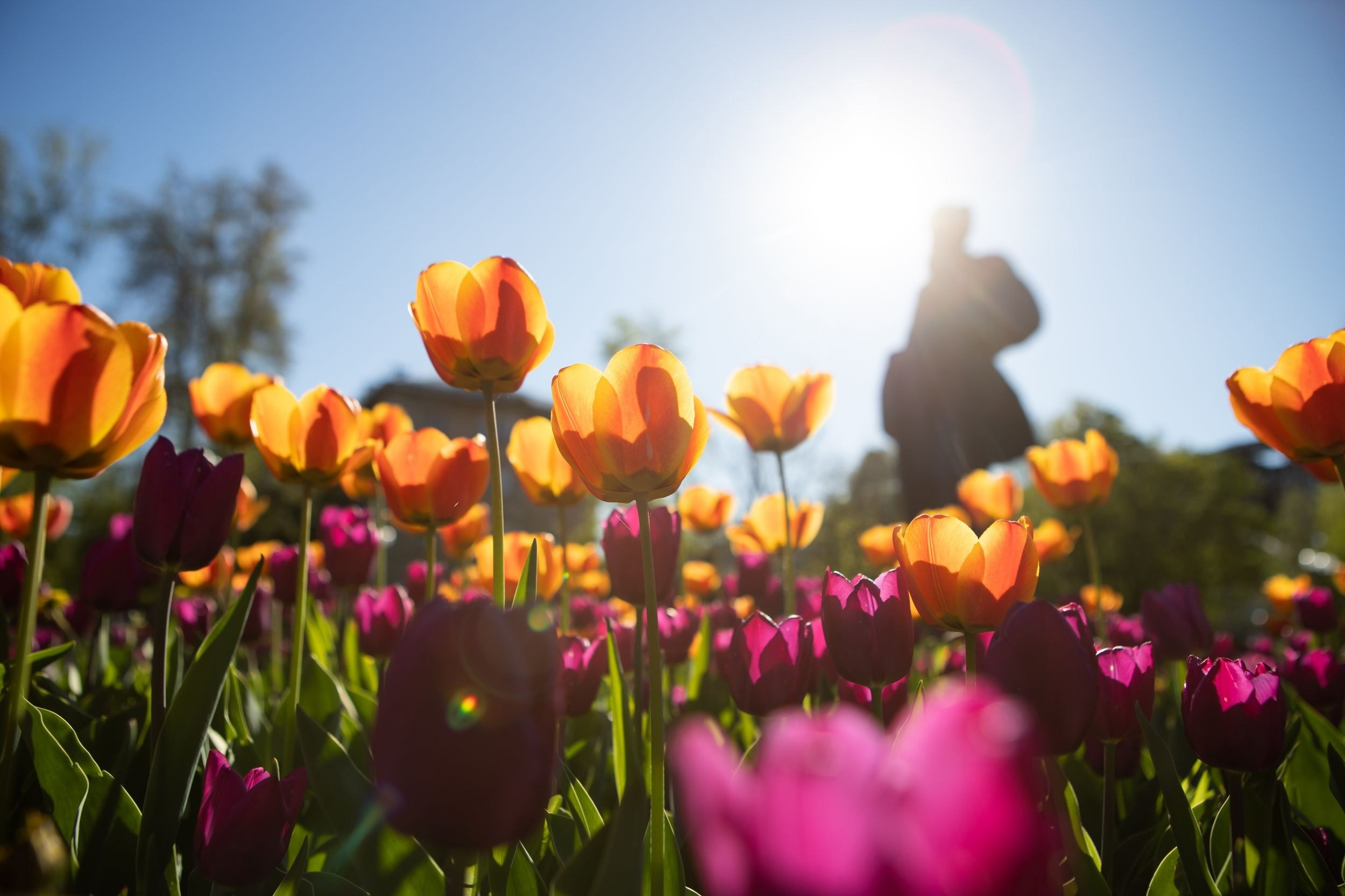Тула. Репортажный фотограф Алексей Пирязев