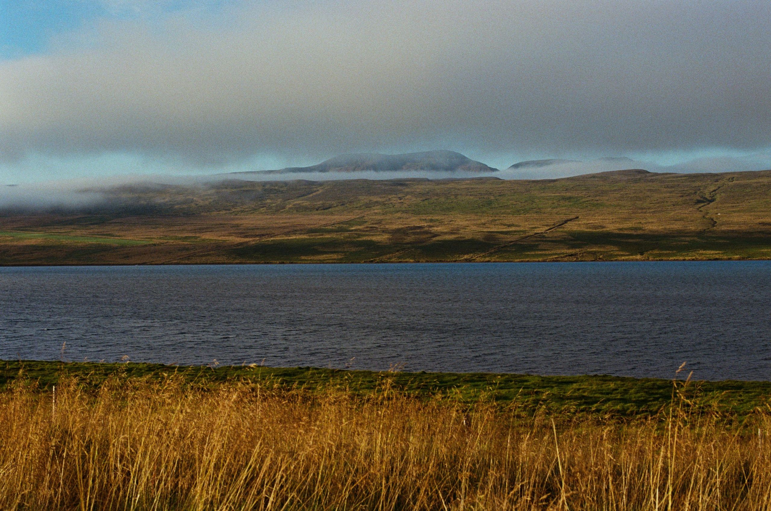 Vor i vaglaskogi // iceland, 724. EVER EXPOSED