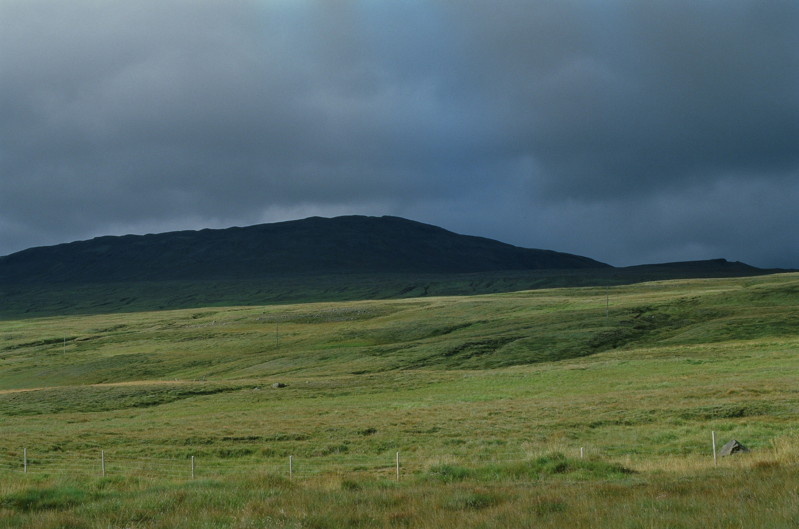 Vor i vaglaskogi // iceland, austurleið. EVER EXPOSED