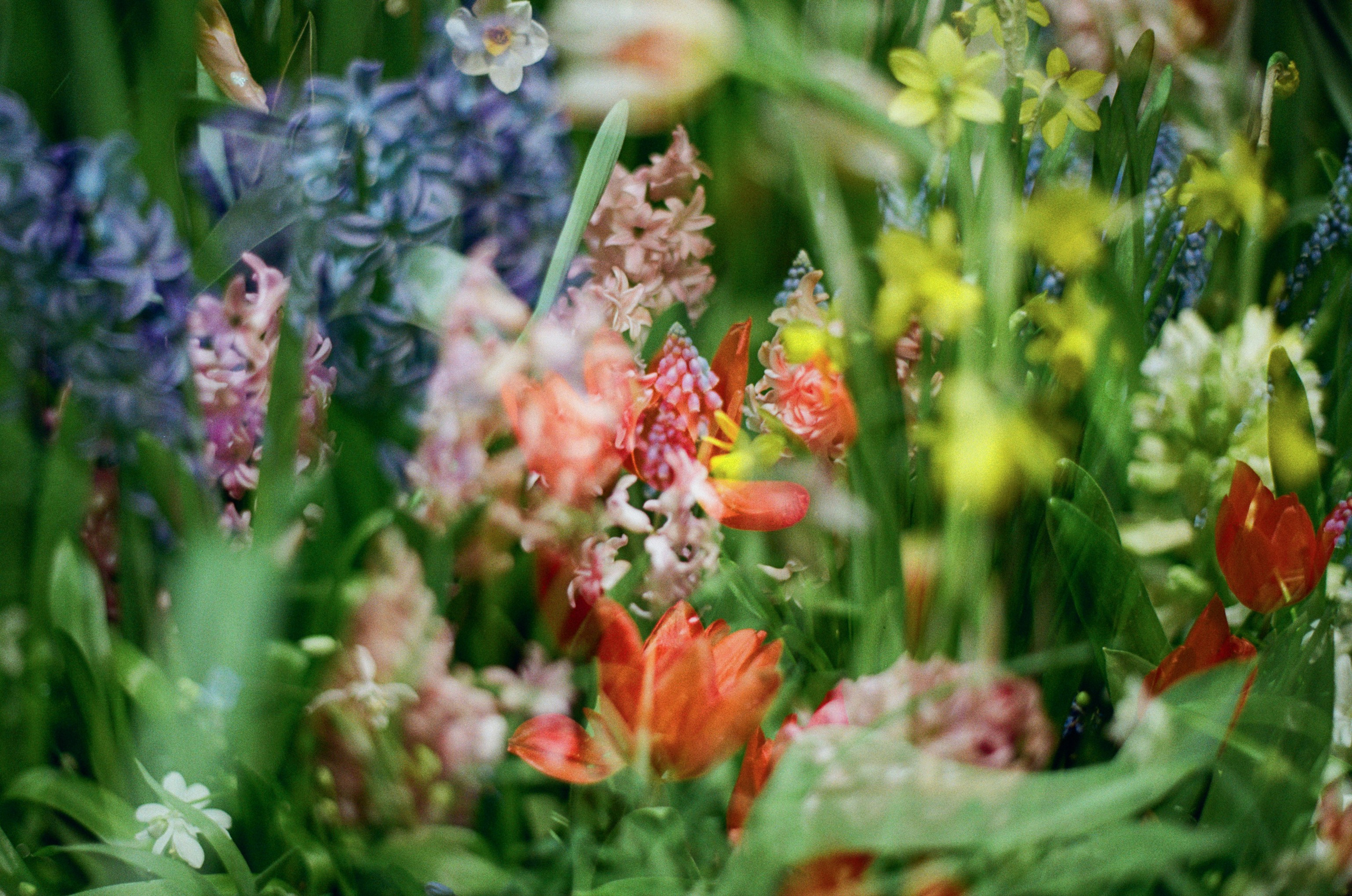 If i get high IV. EVER EXPOSED