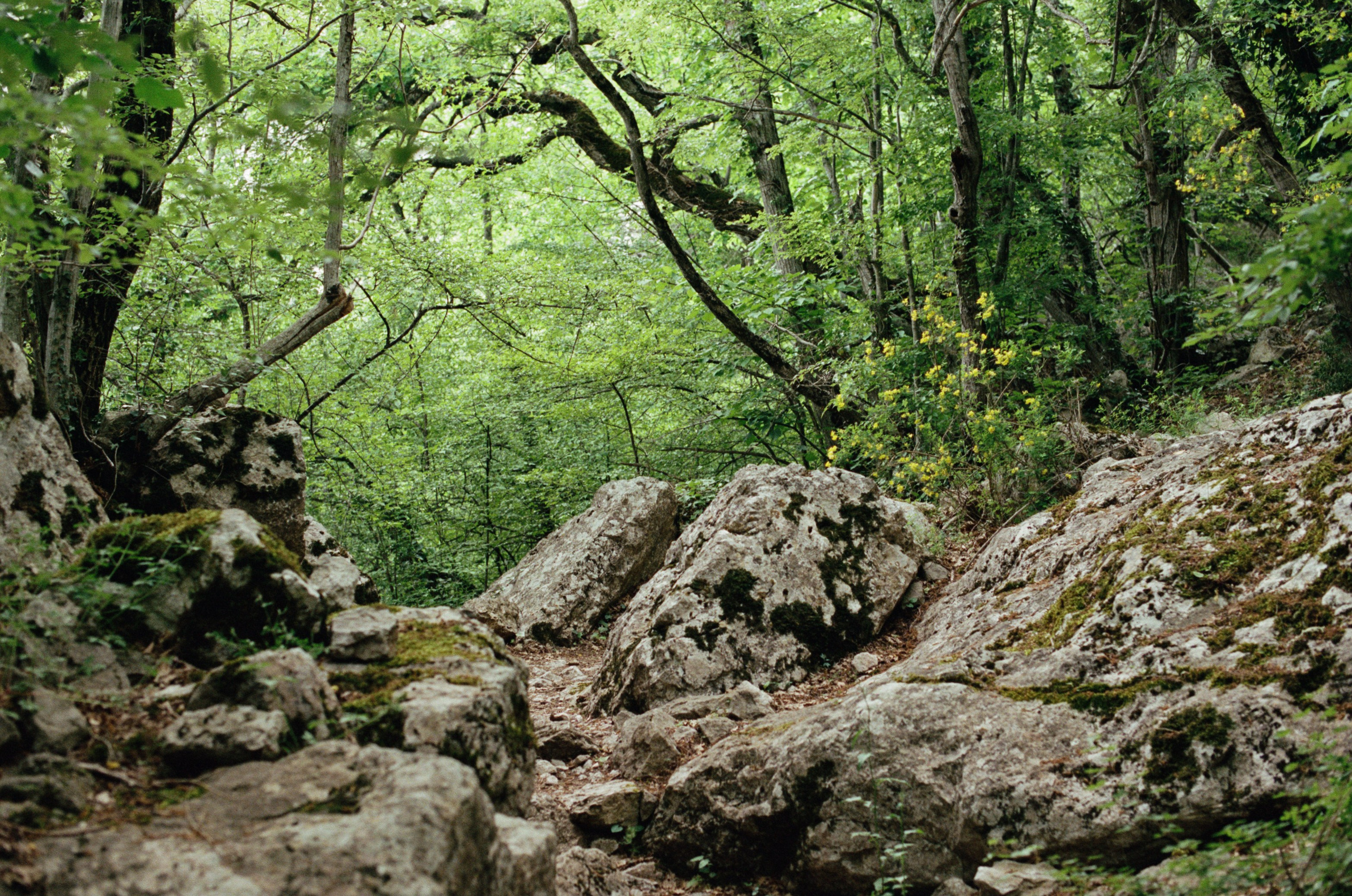 Silent running // ukraine, crimea. EVER EXPOSED