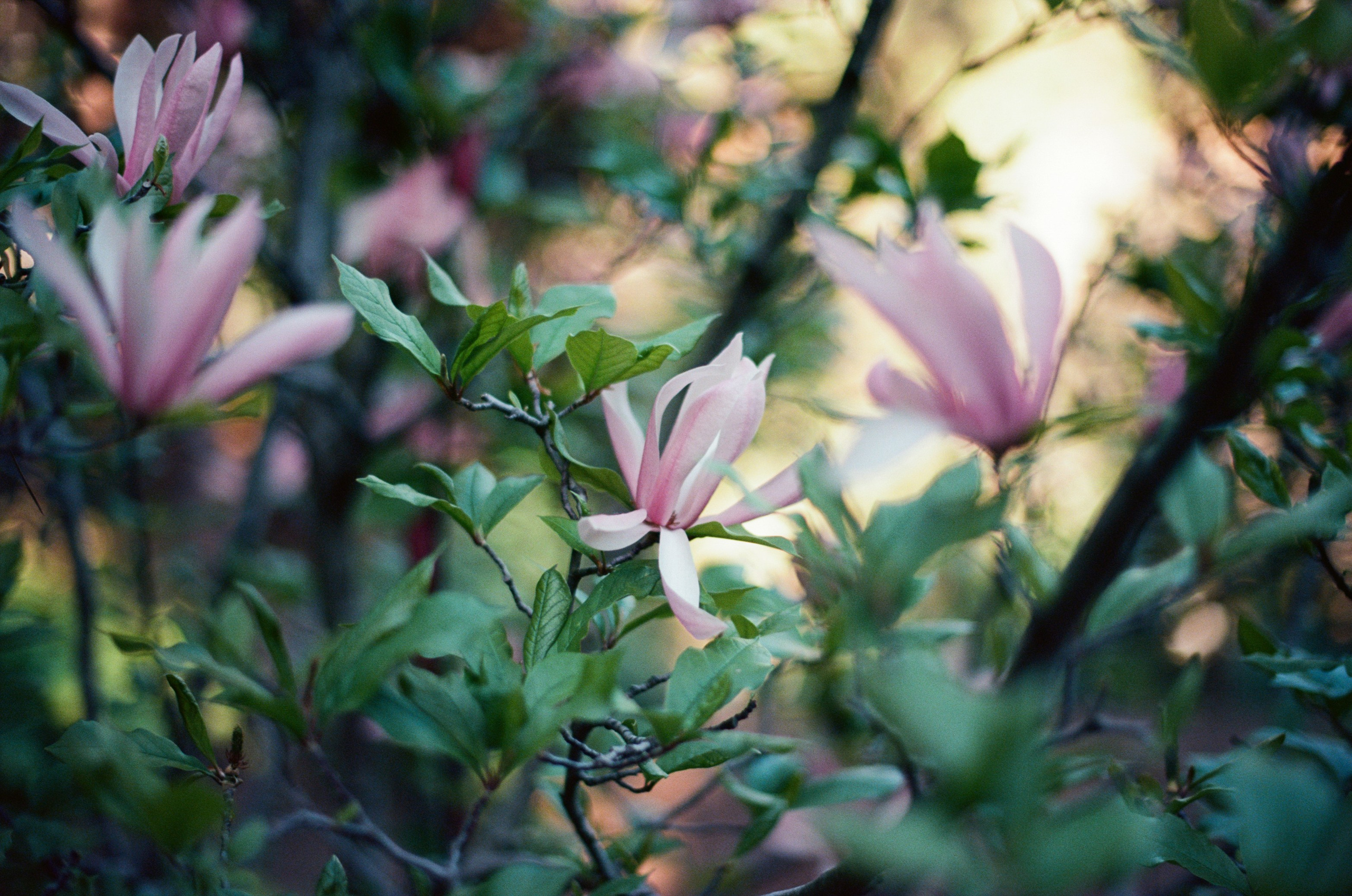 Follow you // ukraine, crimea IV. EVER EXPOSED