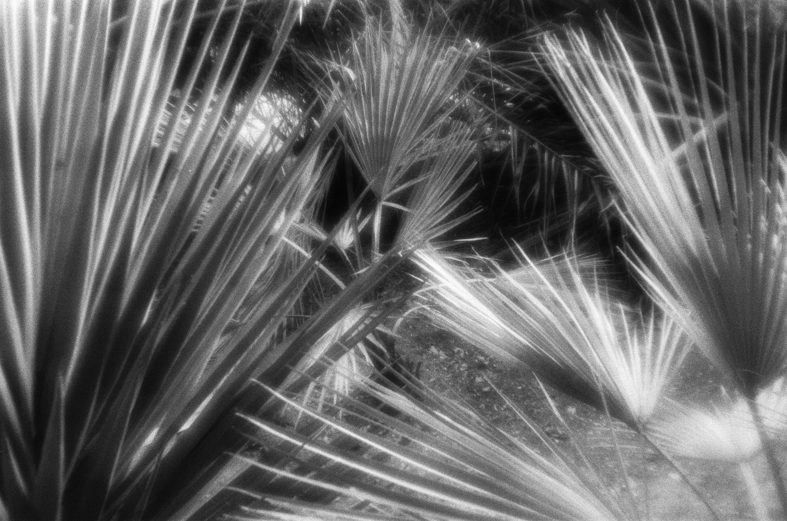 Oblomki chuvstv // ukraine, crimea VI. EVER EXPOSED