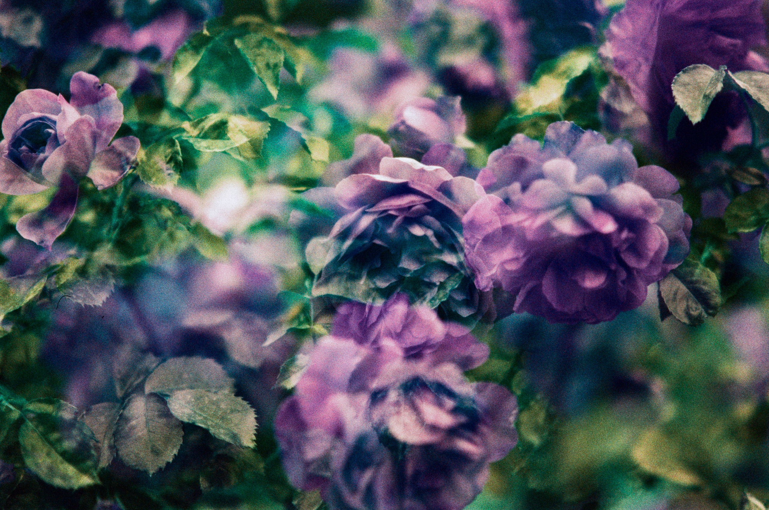 Pain shopping // ukraine, crimea VII. EVER EXPOSED