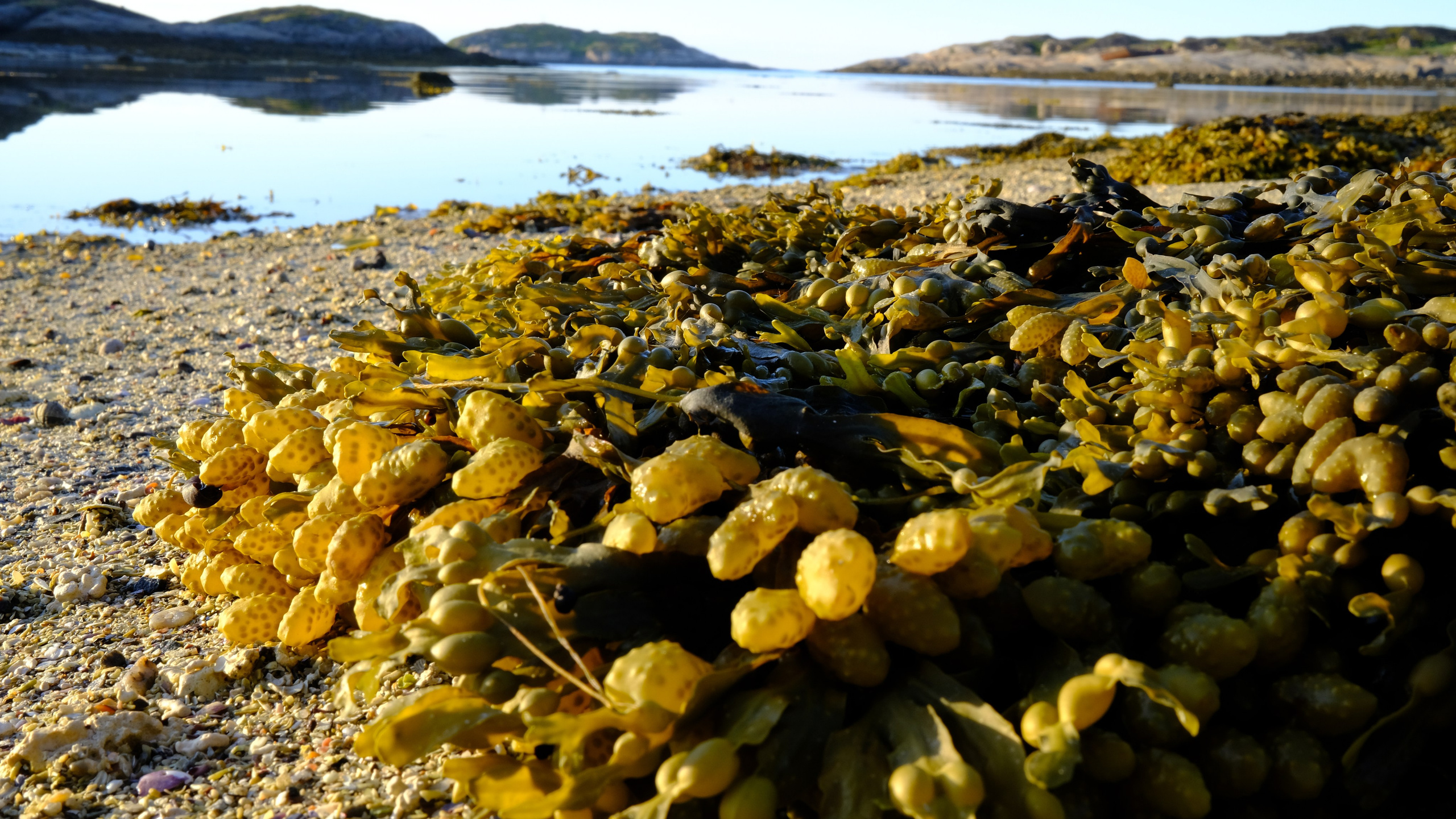 Баренцево море. Пейзажи Крайнего Севера. Баренцево море, Рыбачий, Средний, Немецкий