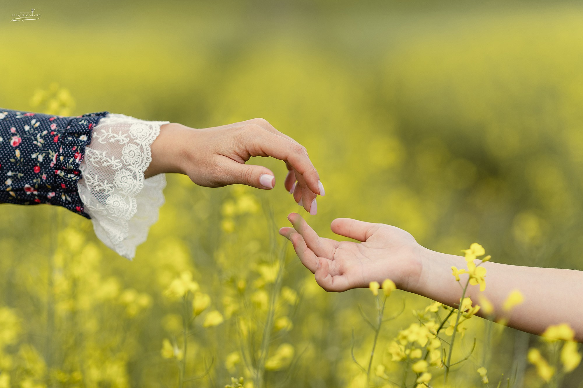 Семейный фотограф Талдом. Свадебный фотограф в Дубне Алексей Фонарёв
