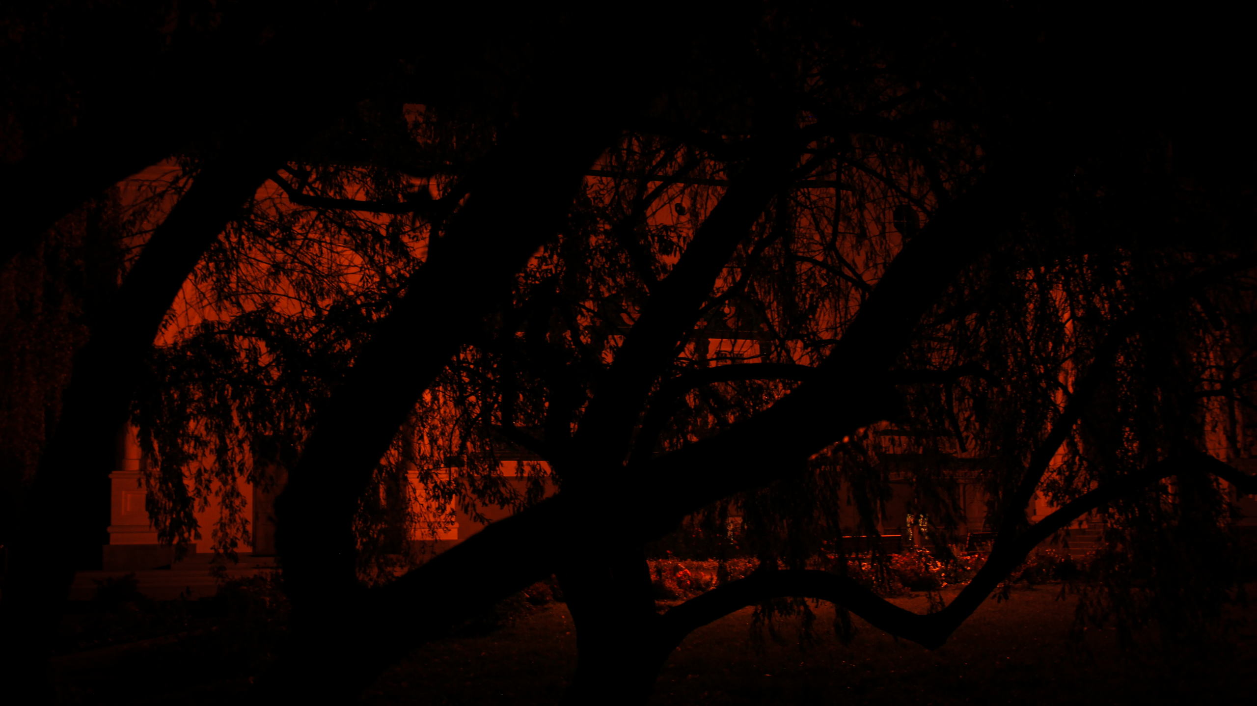 TMN summer '24. Фотограф/дизайнер в Екатеринбурге Хитрый Дмитрий