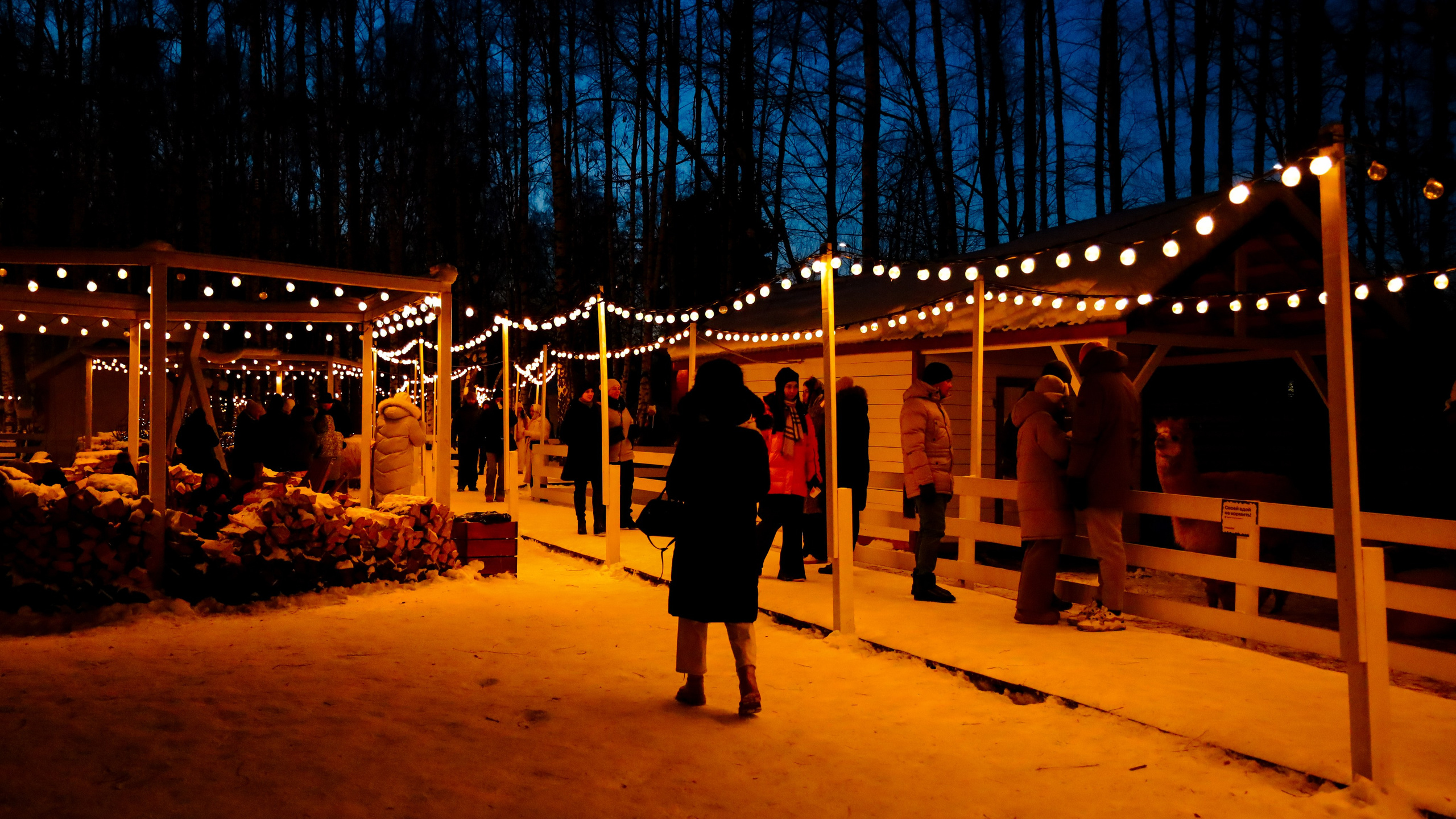 Alpaca park. Фотограф/дизайнер в Екатеринбурге Хитрый Дмитрий