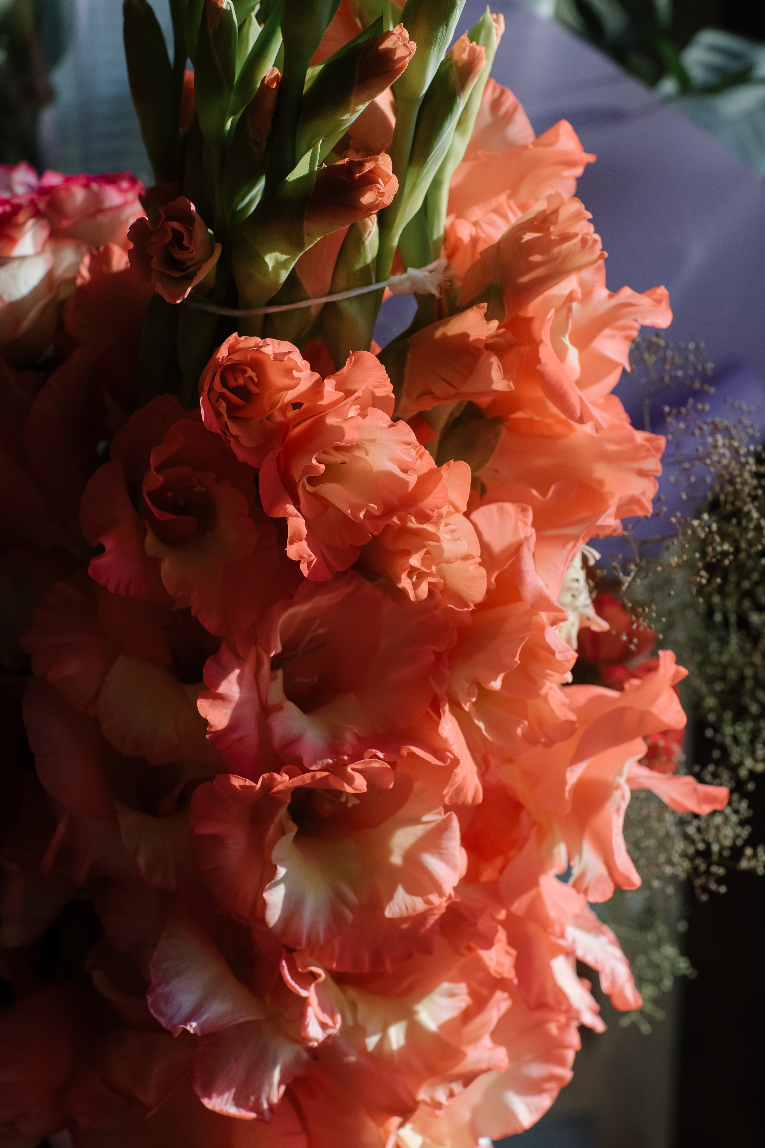 Никита/Анастасия. Свадебный фотограф