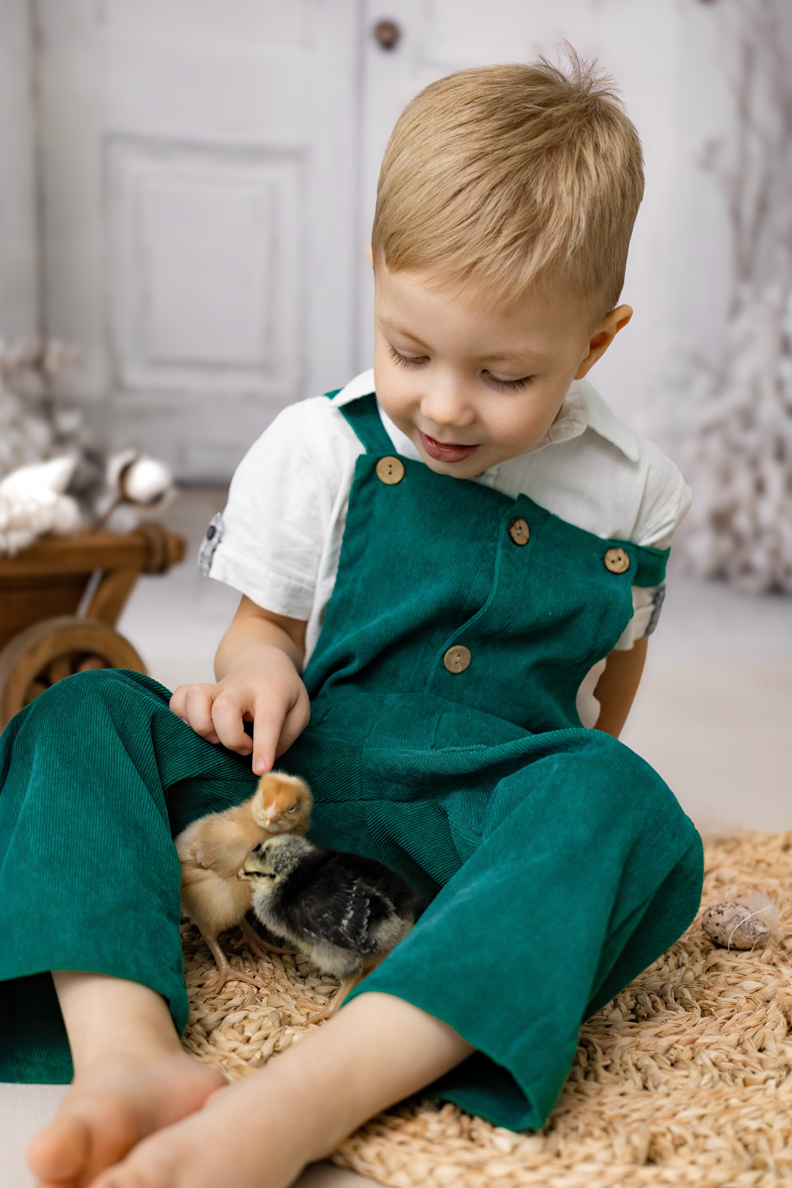 Фотосессия с цыплятами. Фотограф Белгород