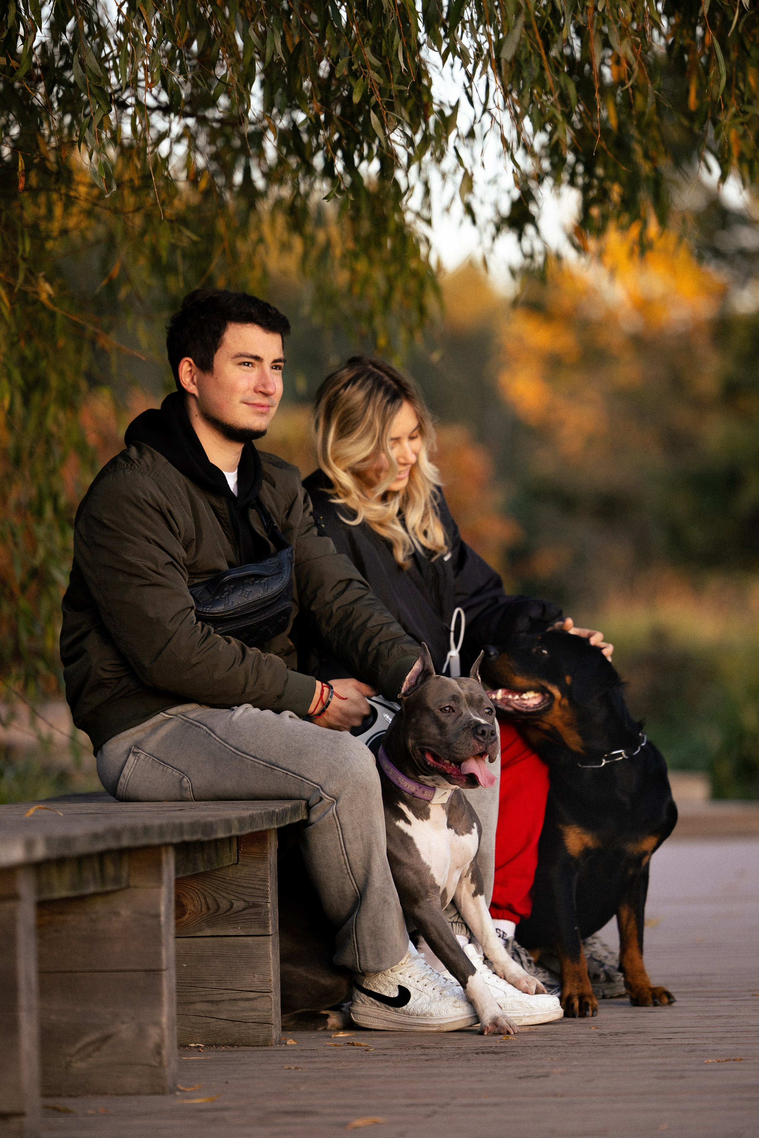 Катя, Леша, Лея и Трой. Фотограф и видеограф анималист Аганина Дарья