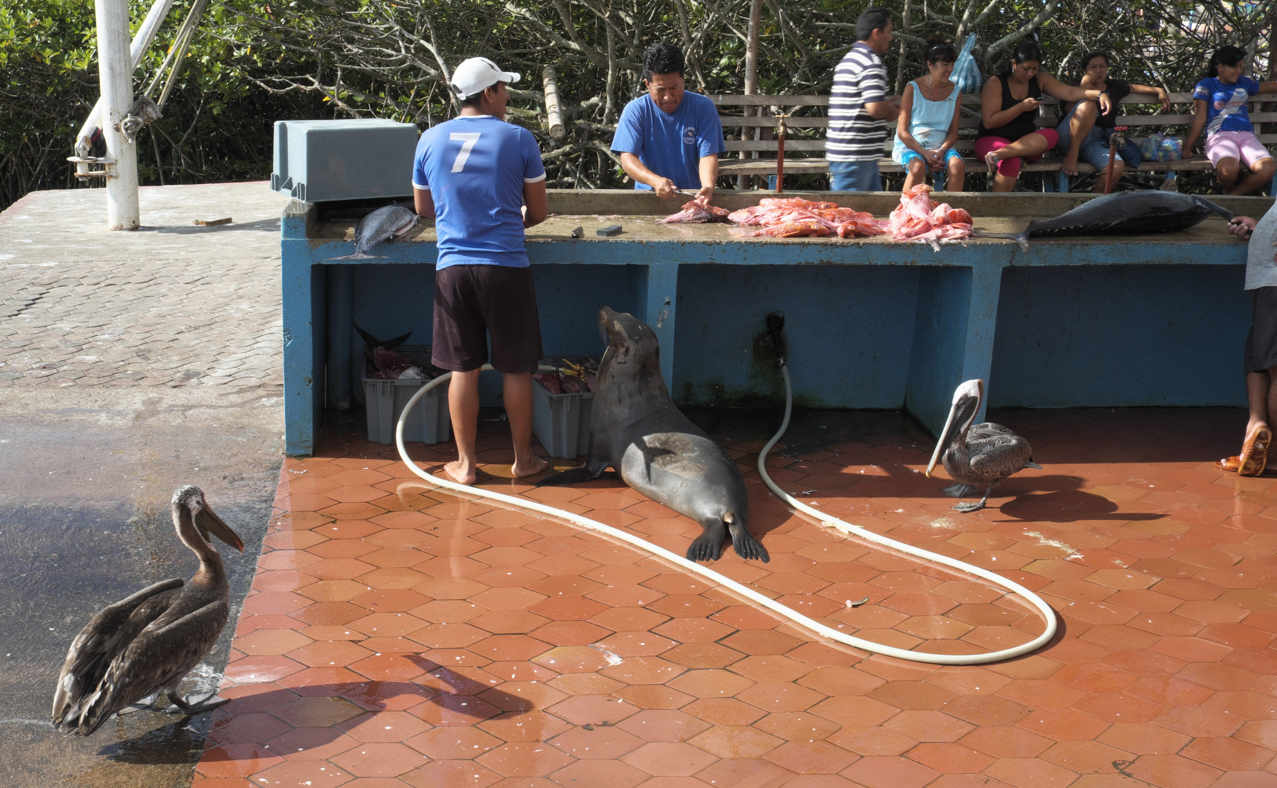 УЛИЦЫ. ПОБУДЬ ЗДЕСЬ И ЦЕЛЕЕ БУДЕТ ЭТОТ МИР