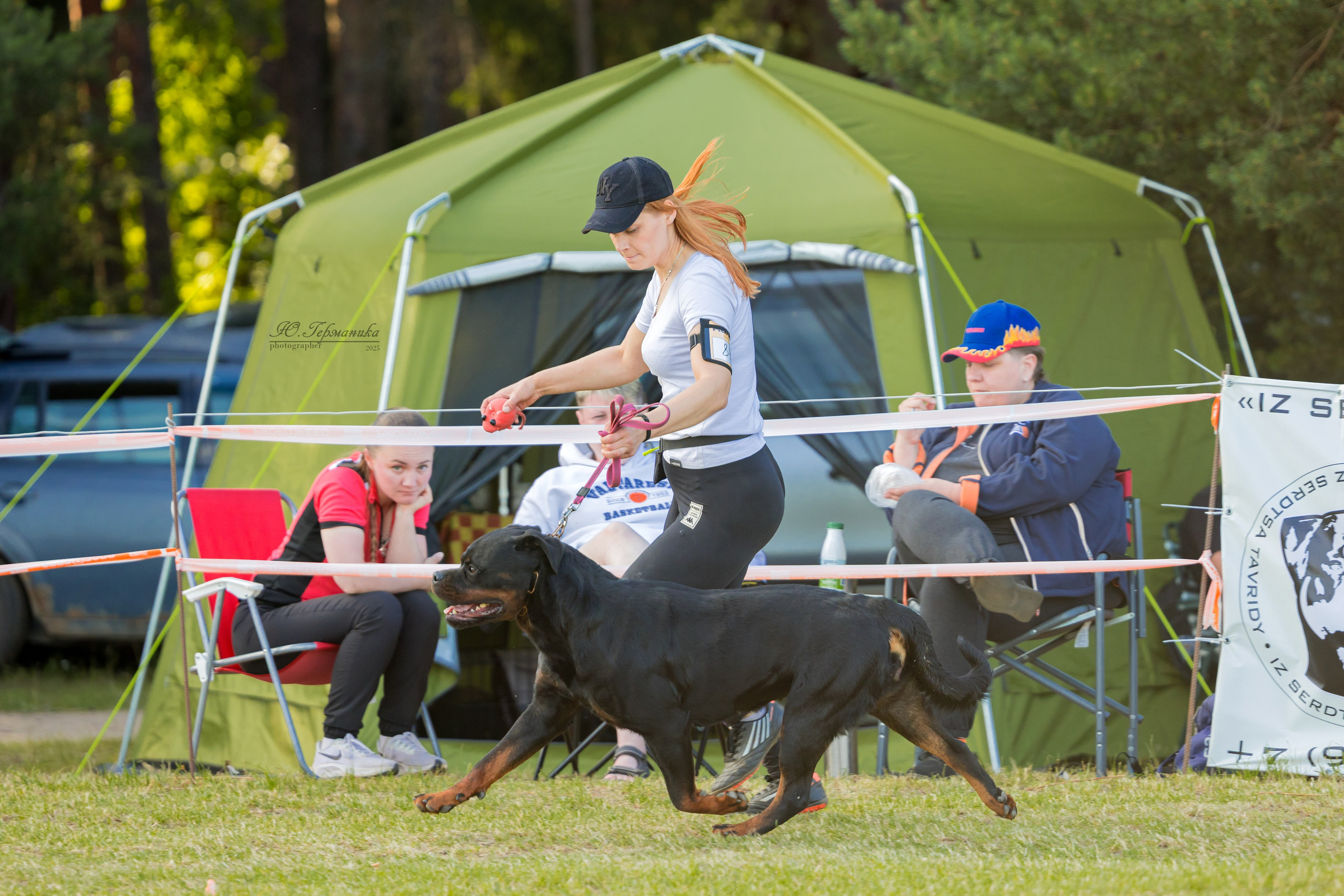 Тверь ротвейлеры 5-6.07.2025. Фотограф-анималист Юлия Германика