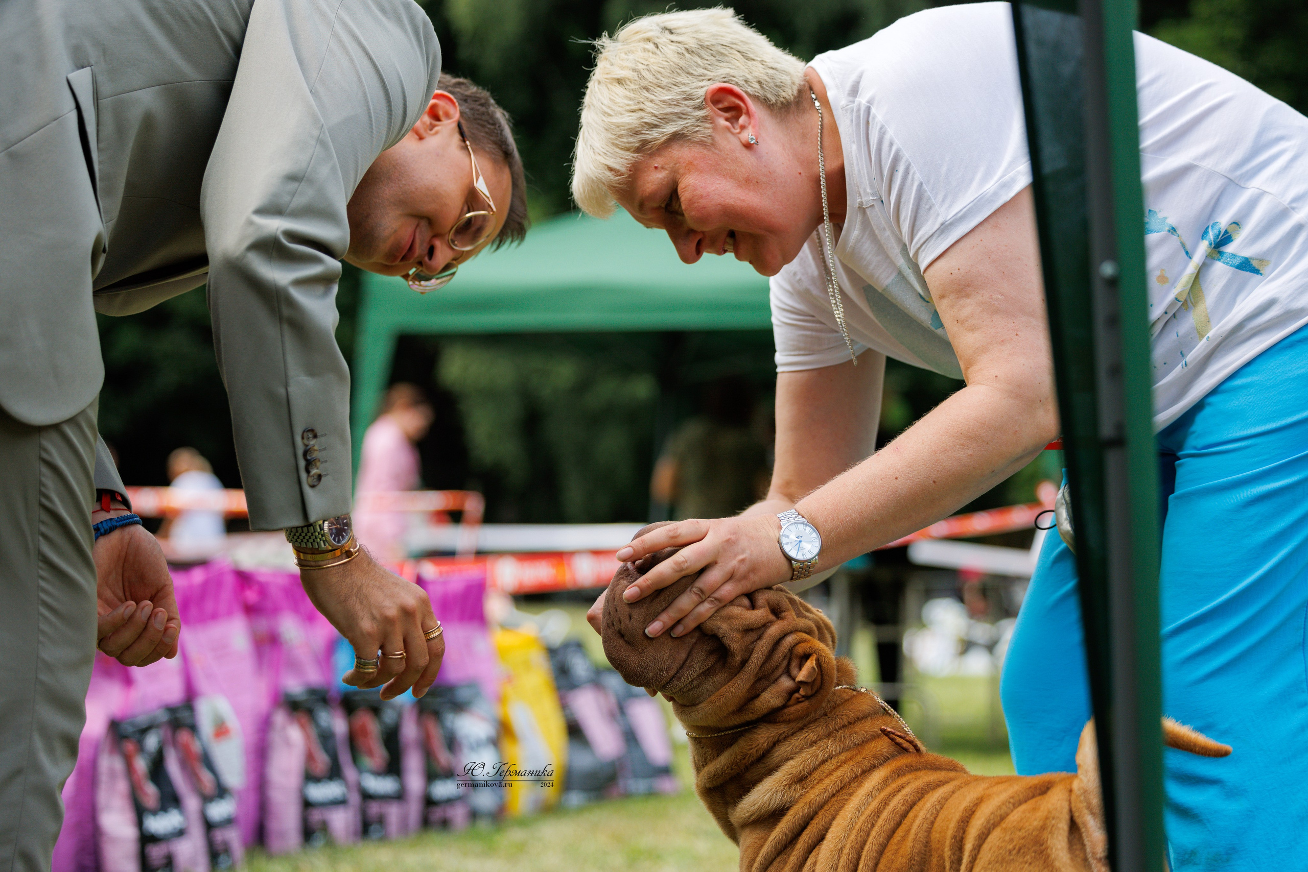 Ярославль 21.07.24 и Балашиха 13.07.24. Фотограф-анималист Юлия Германика