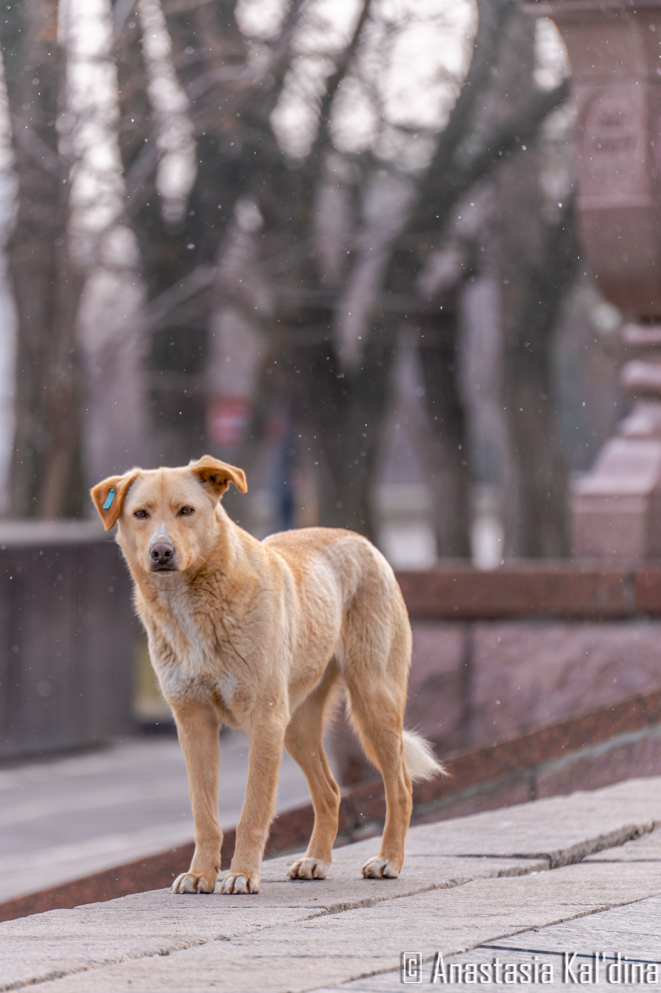 Городской пейзаж/архитектура. Фотограф в Волгограде и Волжском Анастасия Кальдина